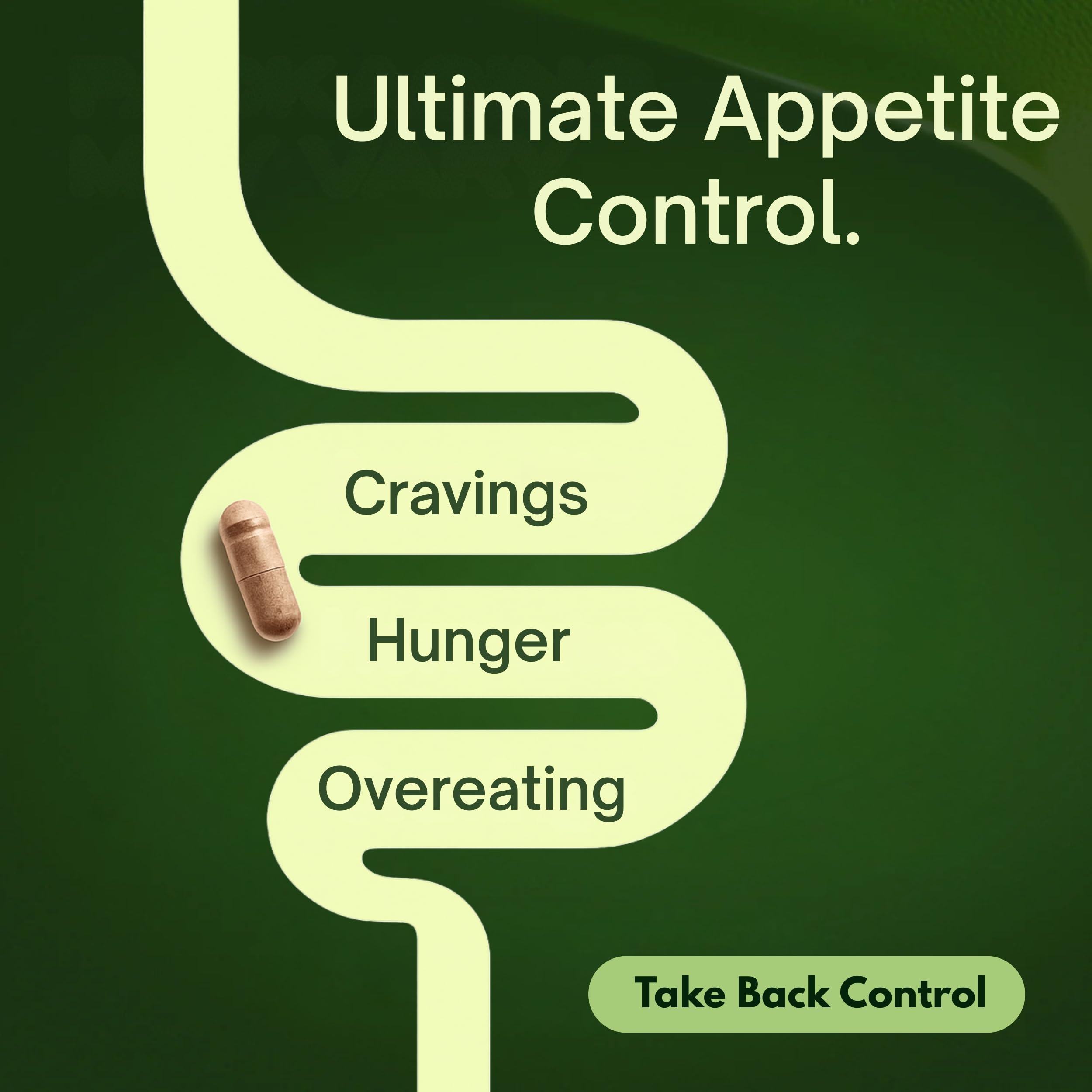 Natural Appetite Suppressant for Women & Men – Non-Stimulant Satiety Support & Holistic Daily Formula. Helps Control Hunger & Curb Cravings Naturally – 60 Veggie Capsules — Amazon image 2