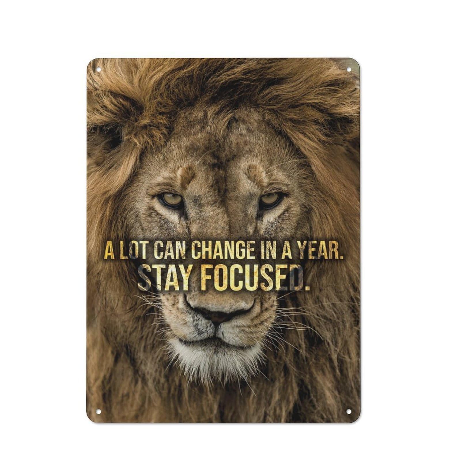Vintage Stay Focused Metal Wall Sign 40x30cm, Shed Wall Plaque for Garage, Workshop, Shed Or Utility Room