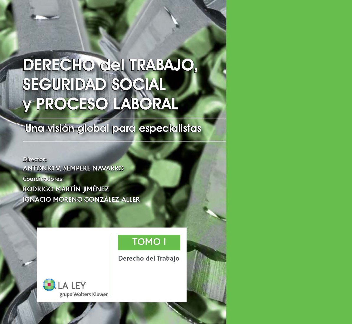 Derecho del trabajo: Una visión global para especialistas (Derecho del trabajo, Seguridad Social y proceso laboral)