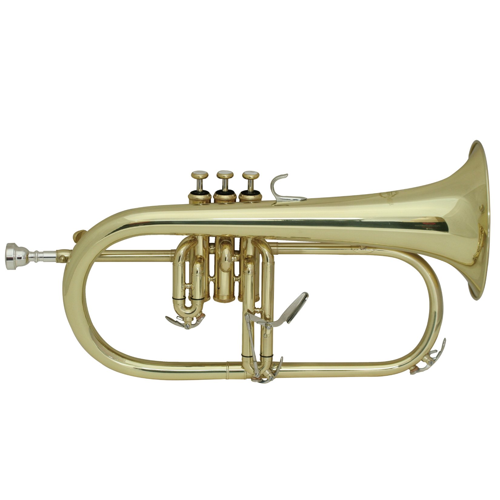 Amazon | MAXTONE フリューゲルホルン B♭管 ゴールドラッカー仕上げ 