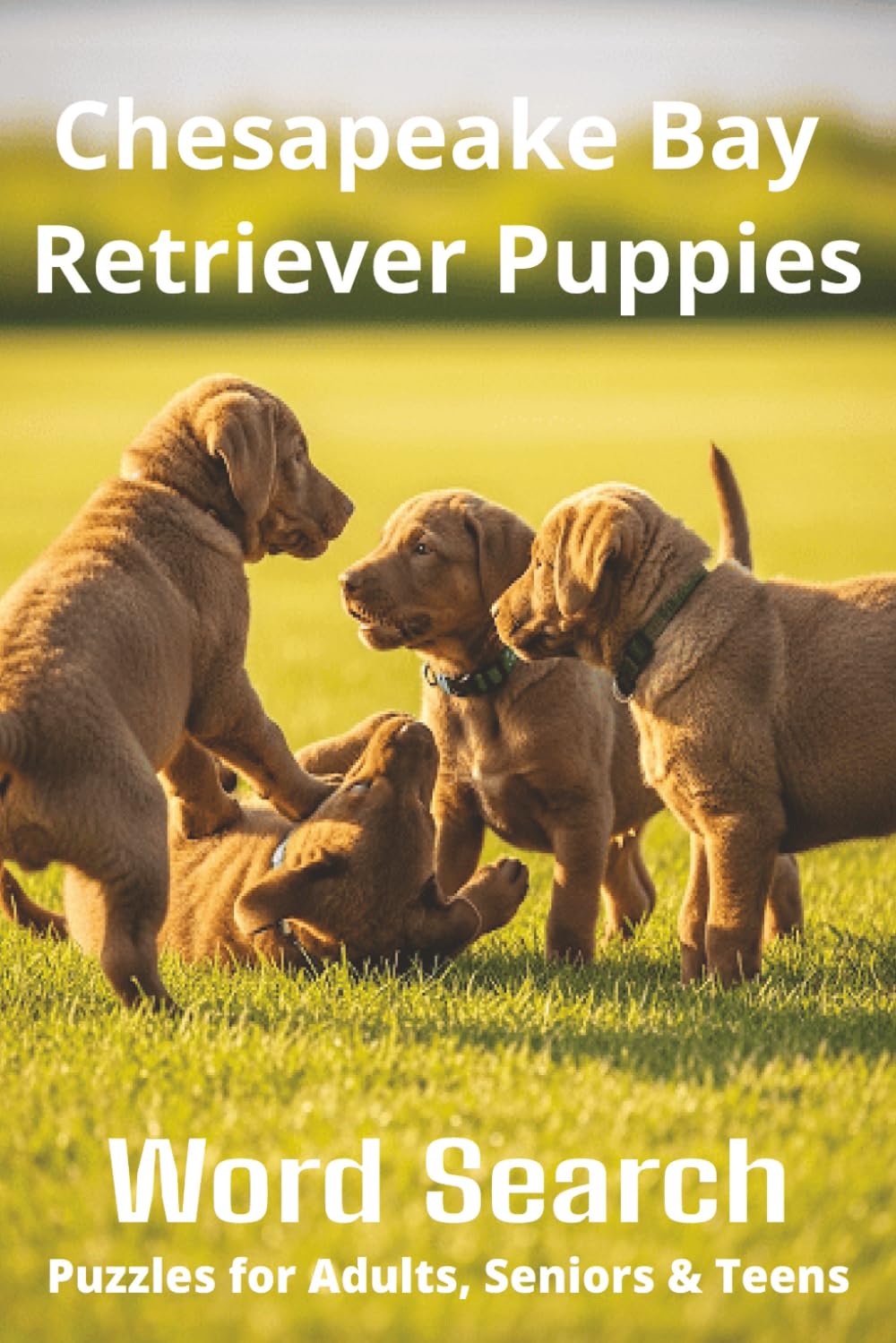 Words About Chesapeake Bay Retriever Puppies Word Search Puzzles: Easy-to-Read Word Searches About Chesapeake Bay Retriever Puppies – Loyal ... for Pet Lovers, Vacations, and Relaxing M