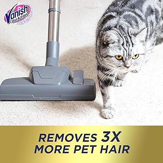 Carpet Cleaner + Upholyster, power Powder, Large Area Cleaning, Pack of 3, 650 grams each