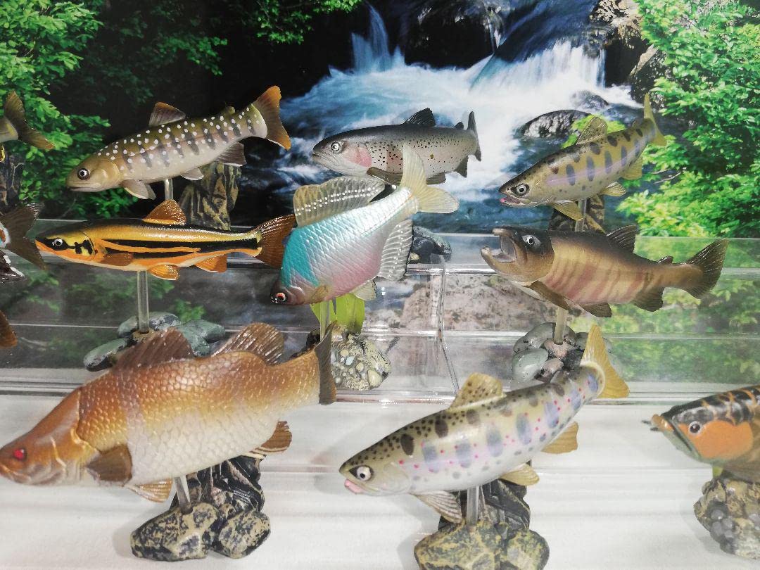 229Q〓原色淡水魚図鑑Ⅰ シークレット3種含 全16種コンプリート