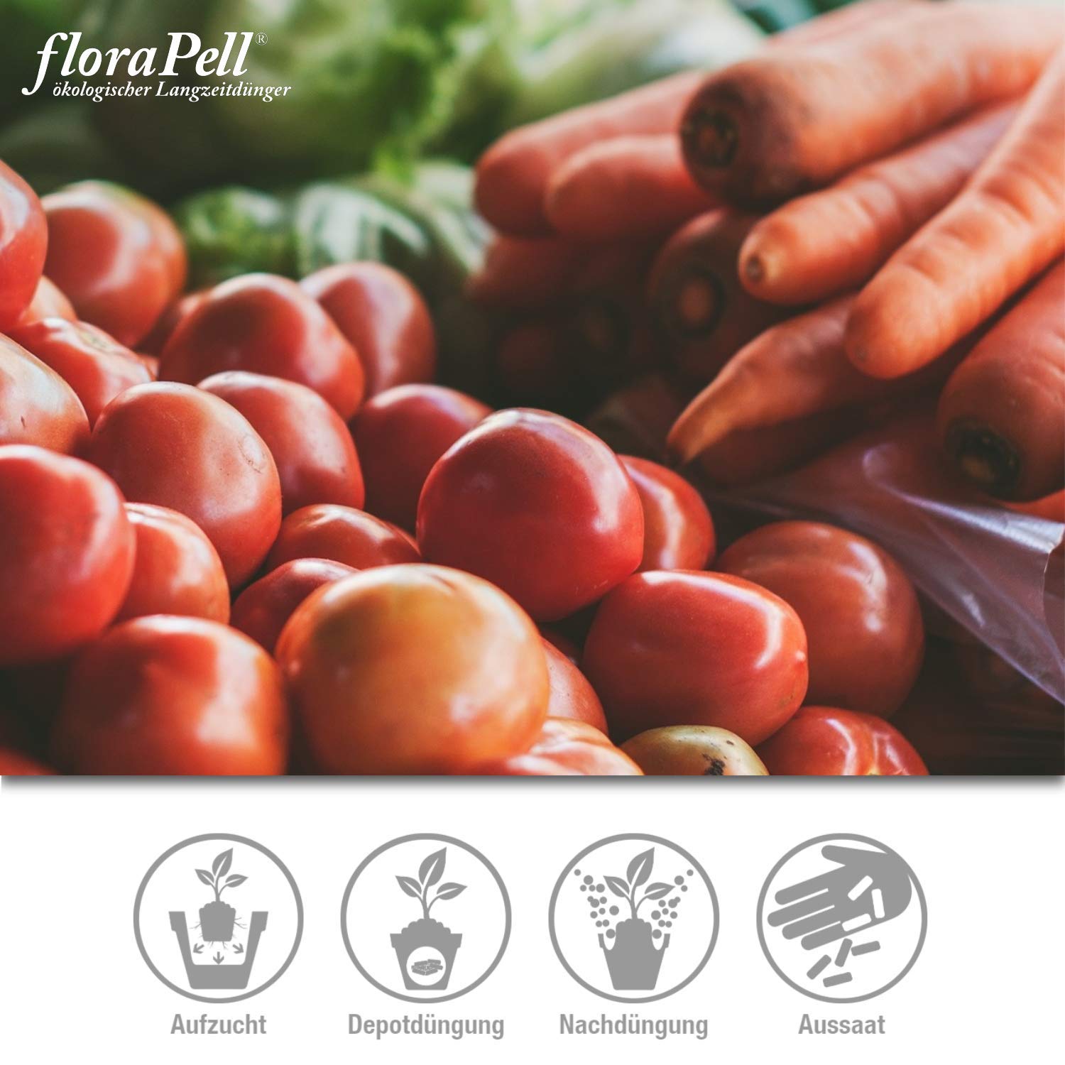 FloraPell® Bio Schafwollpellets Dünger für Haus, Garten & Zimmerpflanzen - Das Original aus 100% Schafwolle - Organischer Langzeitdünger für ideale Nährstoffversorgung (25kg)