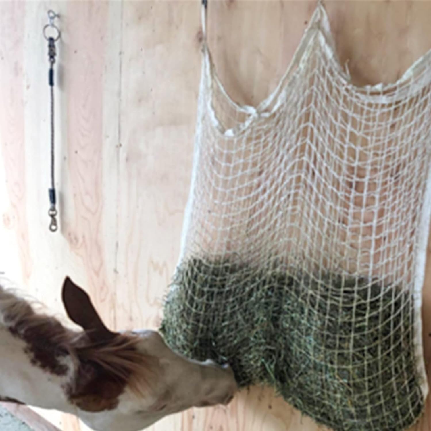 DasMarine Full Day Slow Feed Hay Net Bag,Horse Feeding Hay Bags with Small Holes,Hay Nets with Large Loops on Either End for Horses(63" Length x 40" Width) : Pet Supplies