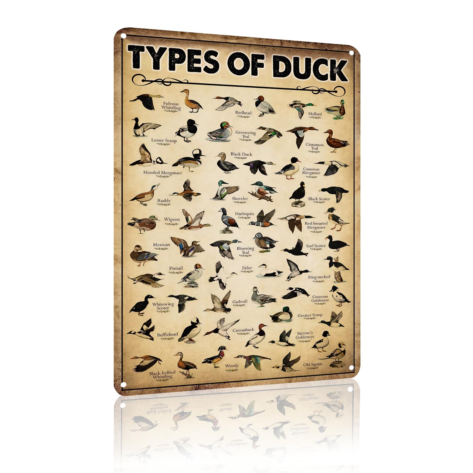 Type Of Duck Tin Sign Vintage Knowledge Duck Hunting Decorations For Home Kitchen Duck Wall Art 8 x 12 In (2512)