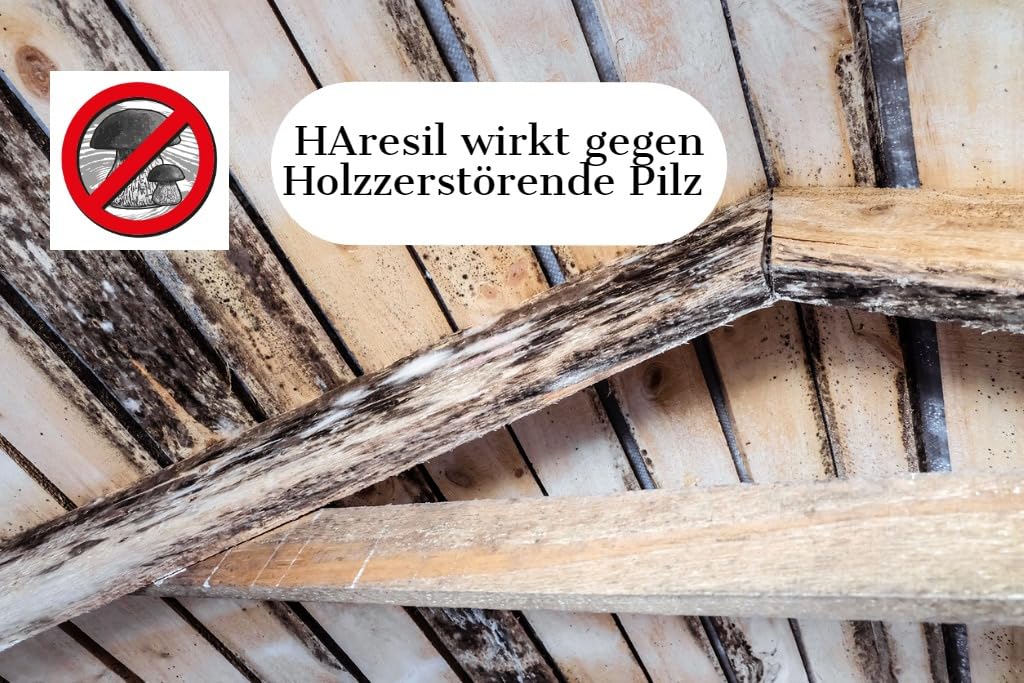 Biologischer Holzschutz HAresil Basic 20l Holzschutzlasur zum Vorbeugen und Bekämpfen von Pilze, Holzwurm, Holzschädlinge, Holzschutz für Innen und Außen
