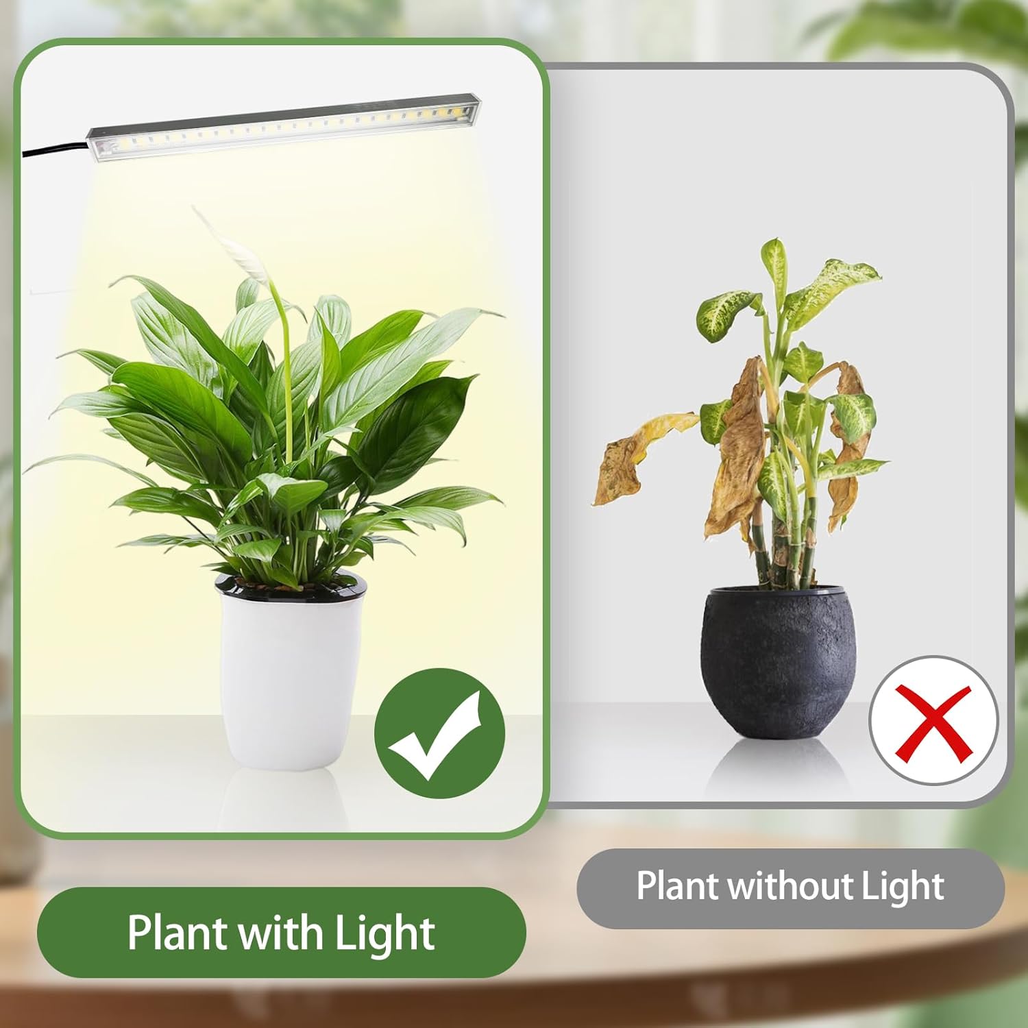 Plant Stand Indoor with Grow Lights - 62'' Tall Plant Stand Corner Plant Stands 8 Tiered Large Flower Holder Display Rack for Living Room Bedroom Office Home Decor