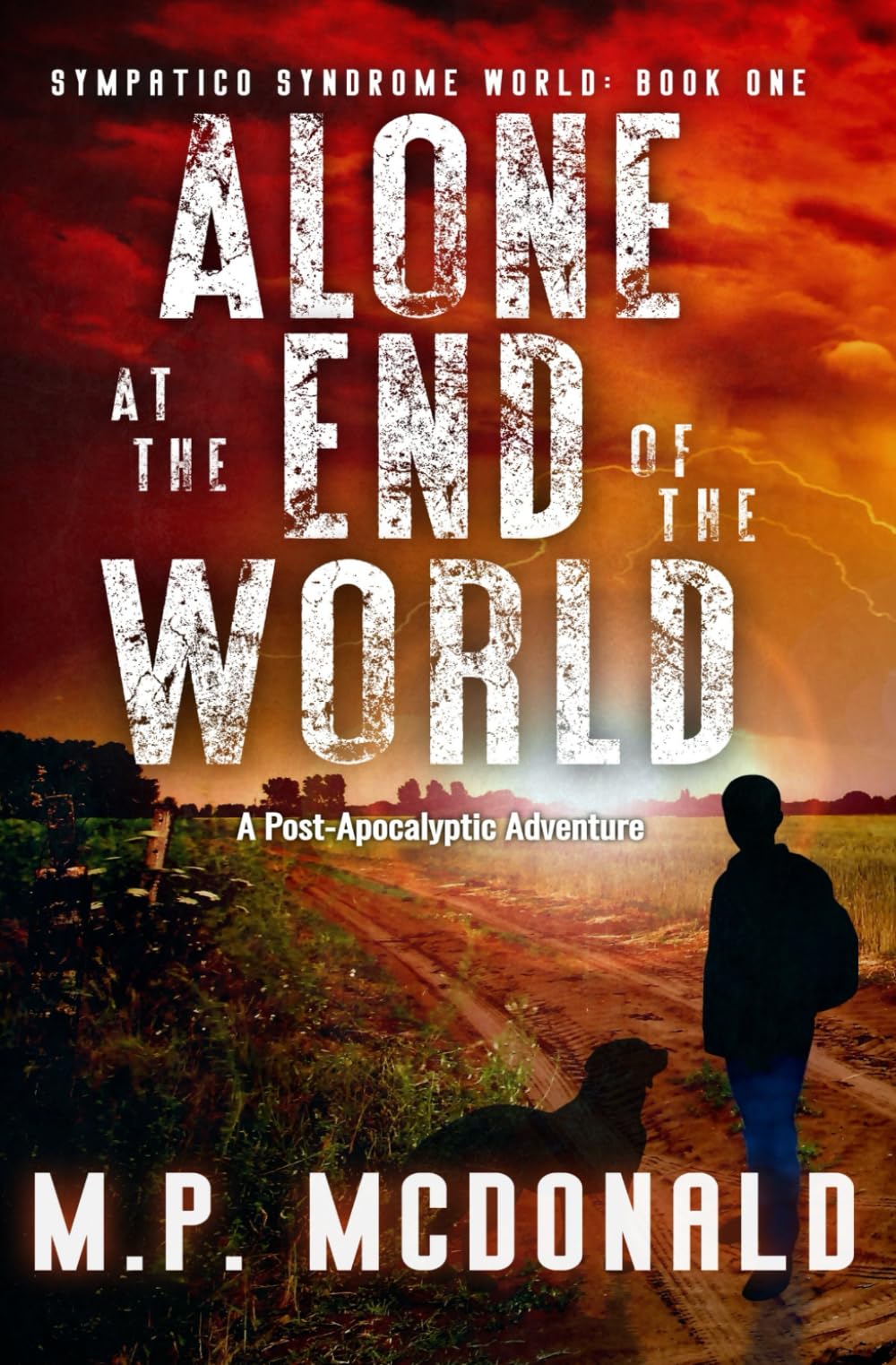 Cover of Alone at the End of the World