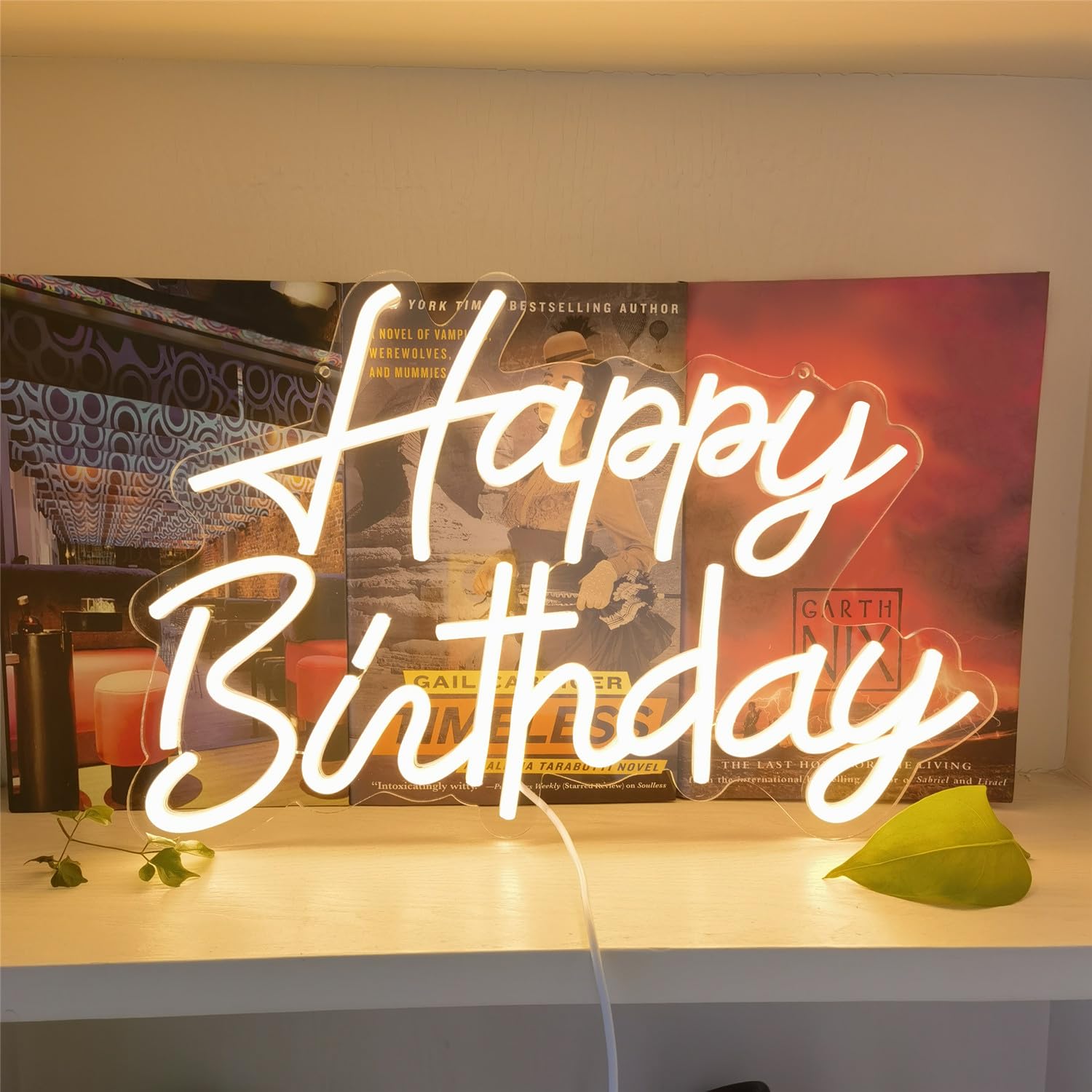 Dimmable Happy Birthday Neon Sign Warm White,LED Hanging Happy Birthday Light Sign,Reusable Neon Happy Birthday Sign for Birthday Party Decoration and Celebration Occasions,USB Powered,16.5x11in