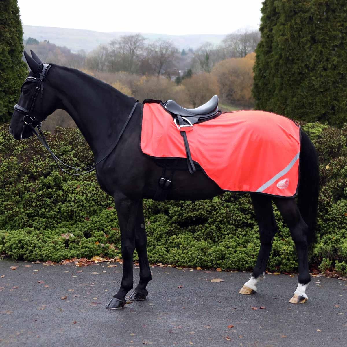 Masta Hi Viz Mesh Exercise Sheet - High-Visibility, Breathable, Summer Horse Safety Gear with Reflective Strips for Roadwork FULL Orange — image 1
