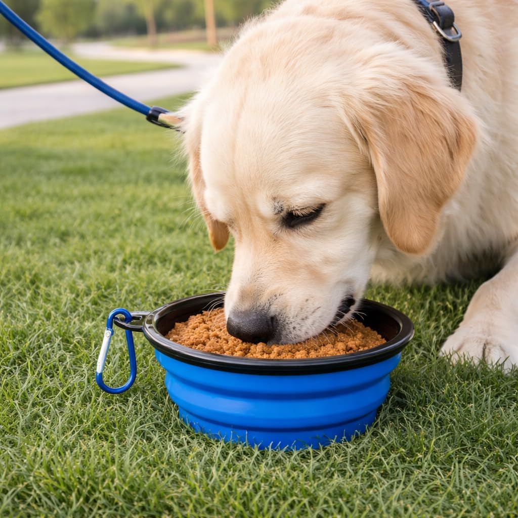 Collapsible Dog and Cat Travel Bowl with Carabiner, Portable Foldable Water and Food Dish for Walking, Camping and Car Trips