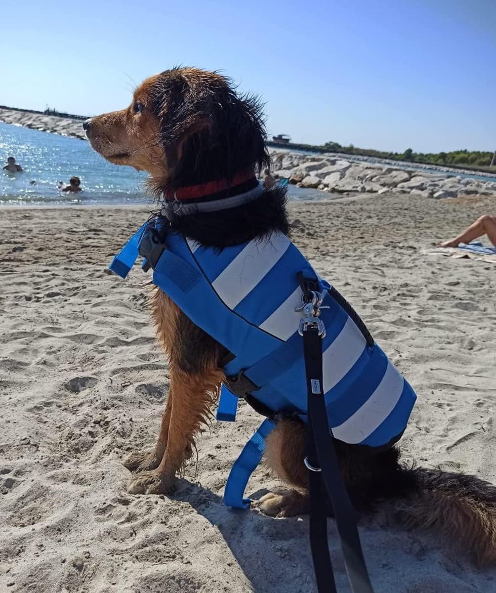 Dog Life Jacket Classic Stripes,Adjustable High with Strong Rescue Handle Dog Life Vest for Swimming and Boating (Blue - Image 3
