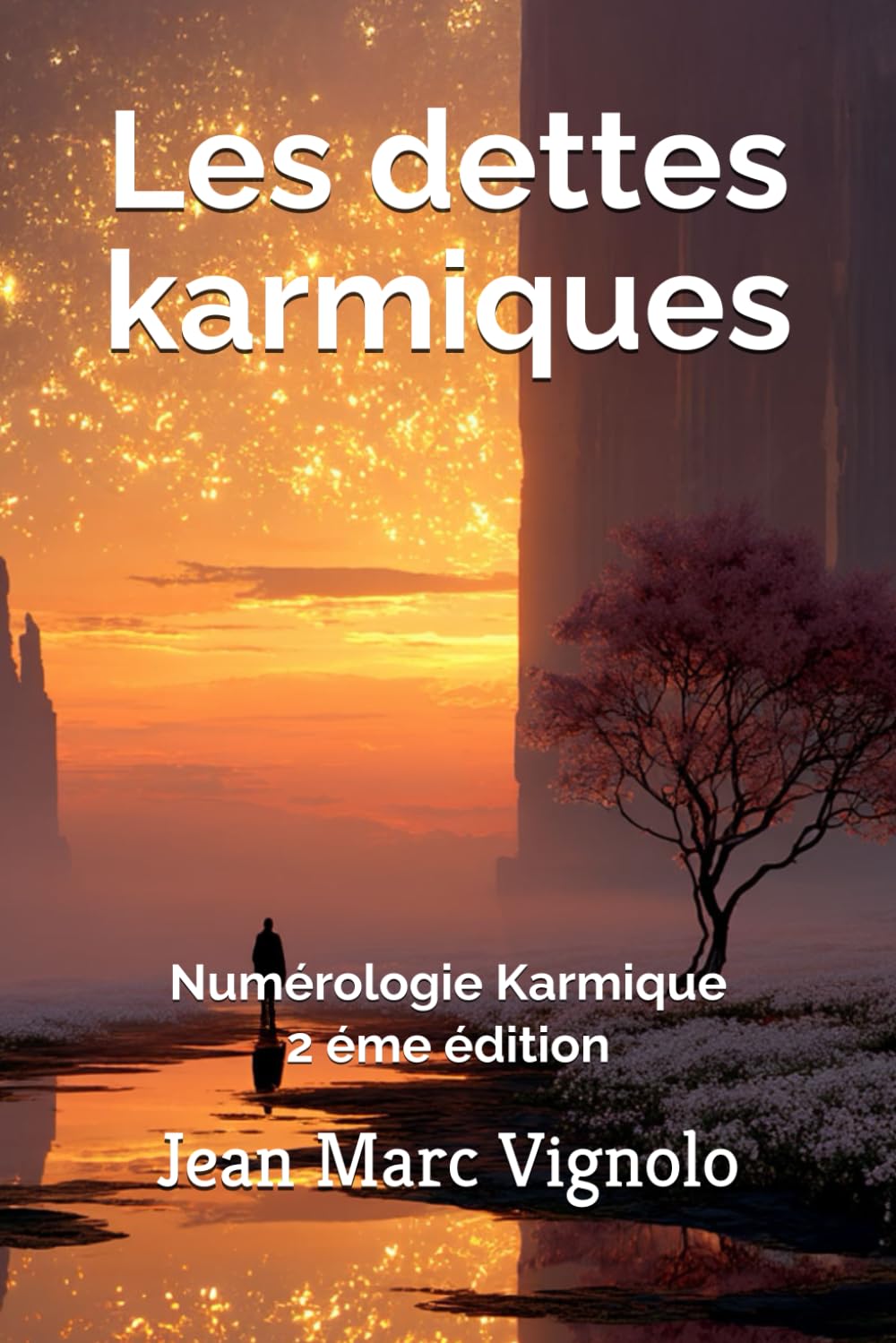 Les dettes karmiques: Numérologie Karmique (Numérologie pratique)