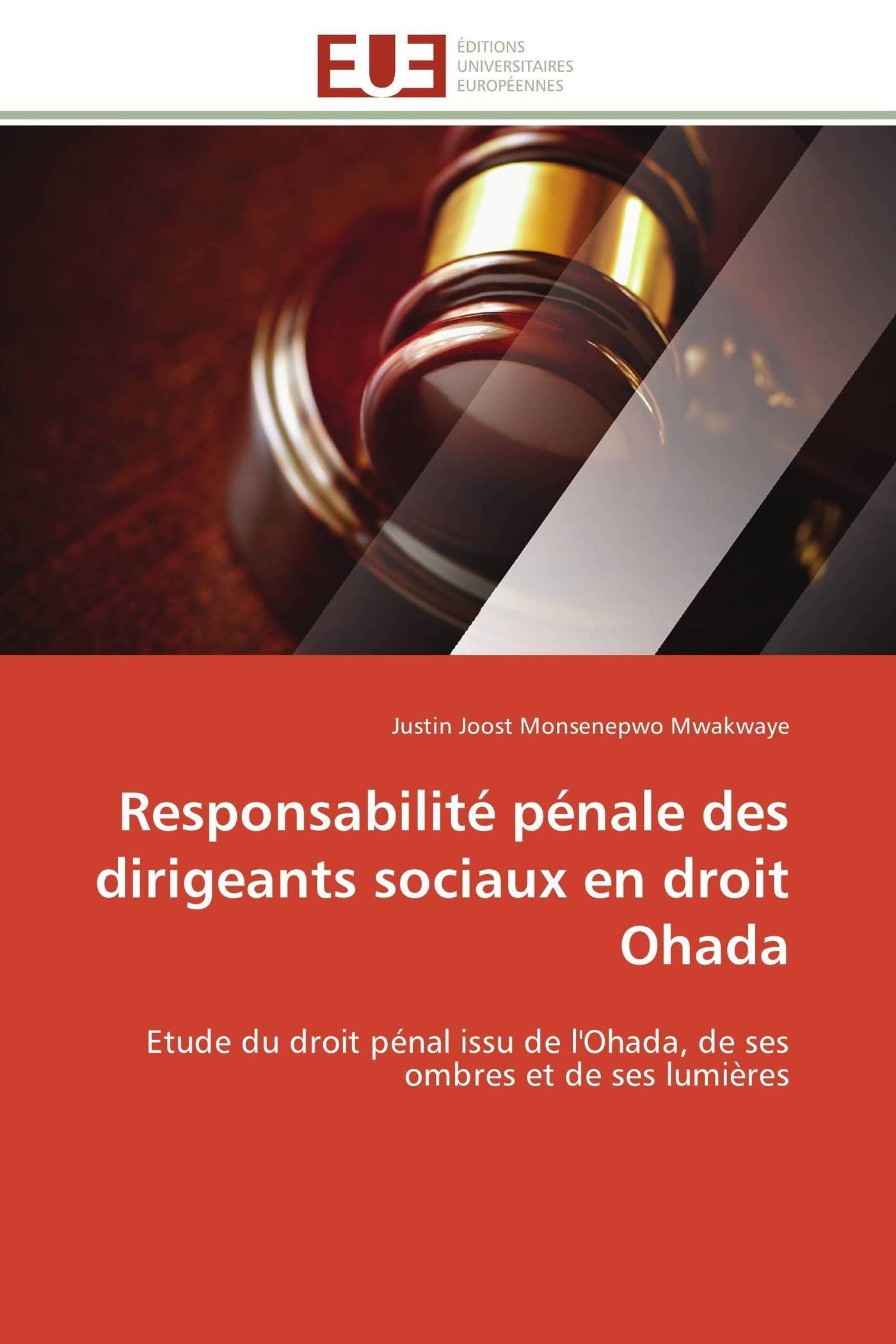 Responsabilité pénale des dirigeants sociaux en droit Ohada: Etude du droit pénal issu de l'Ohada, de ses ombres et de ses lumières