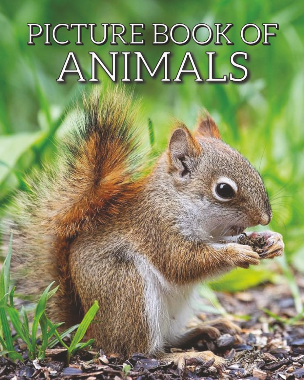 Animal Picture Book For Dementia Patients