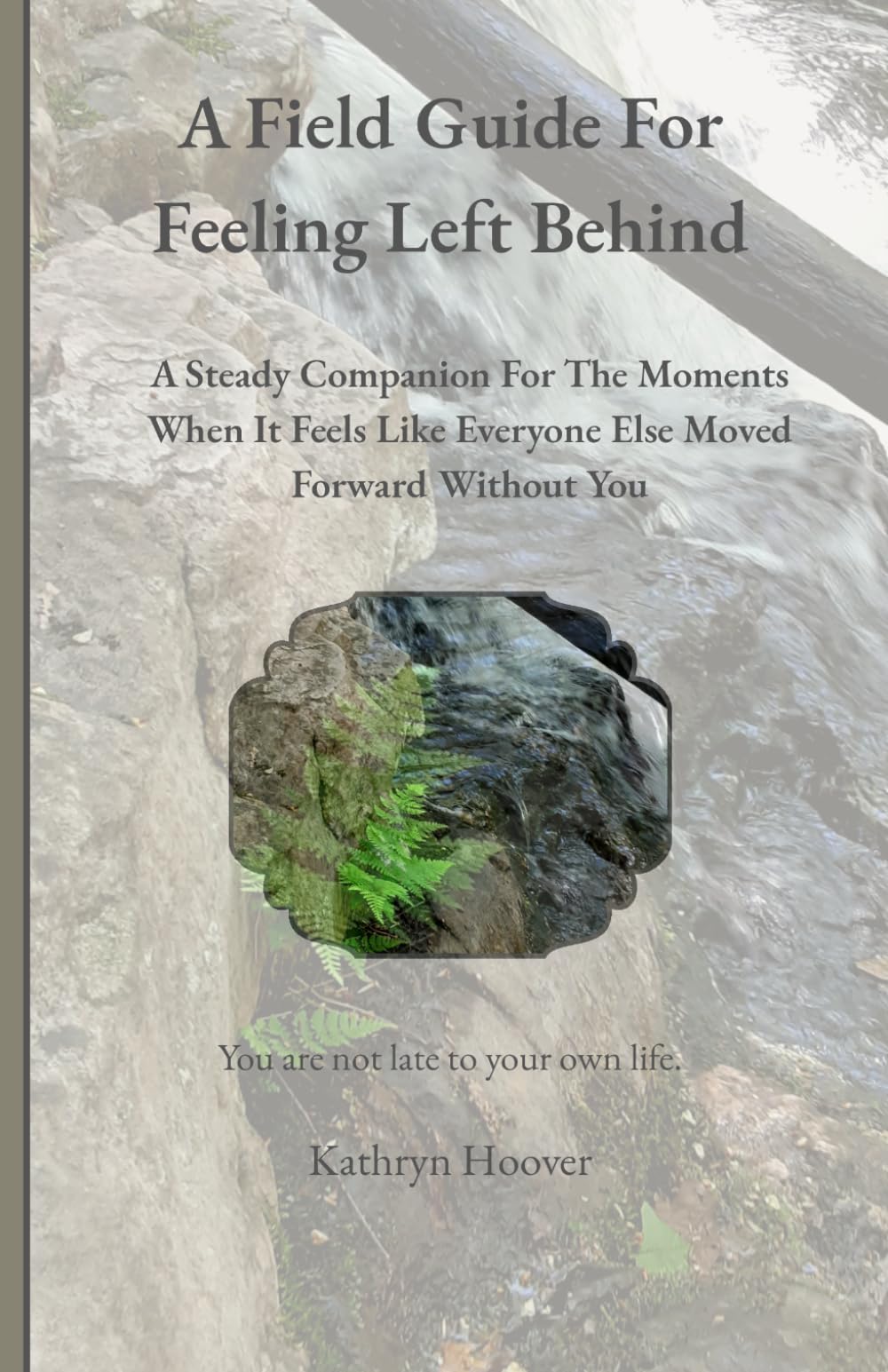 A Field Guide For Feeling Left Behind: A Steady Companion For The Moments When It Feels Like Everyone Else Moved Forward Without You (The Emotional Wilderness Series)