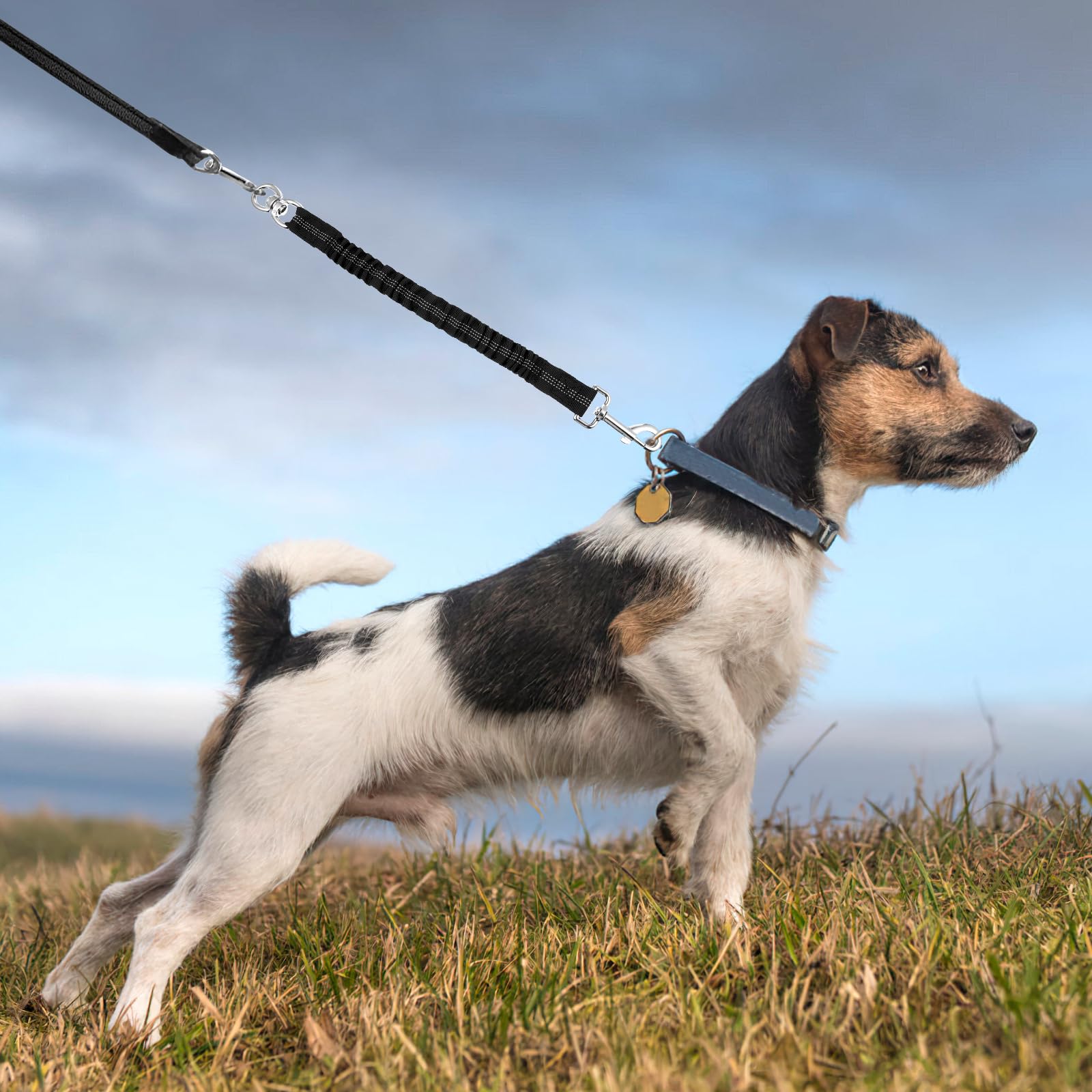 Pet Absorber Elastic Puppy Bungee Buffer Reflective Nylon Dog Leash Extension for Walking Running Training Dog Accessories (Black) - Image 3