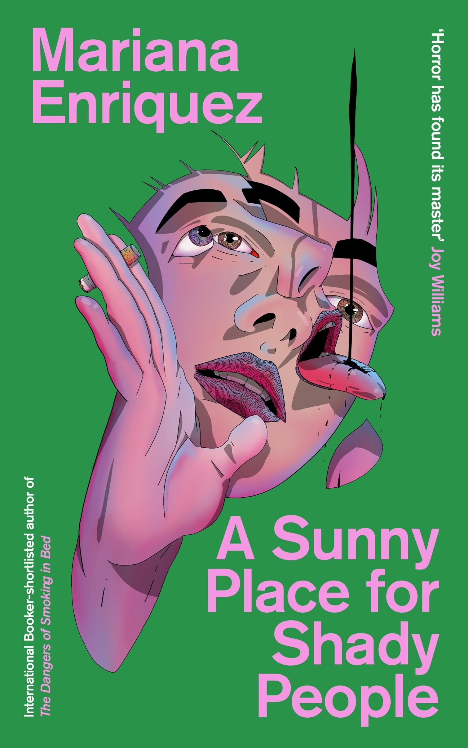A Sunny Place for Shady People: stories: Amazon.co.uk: Enriquez ...