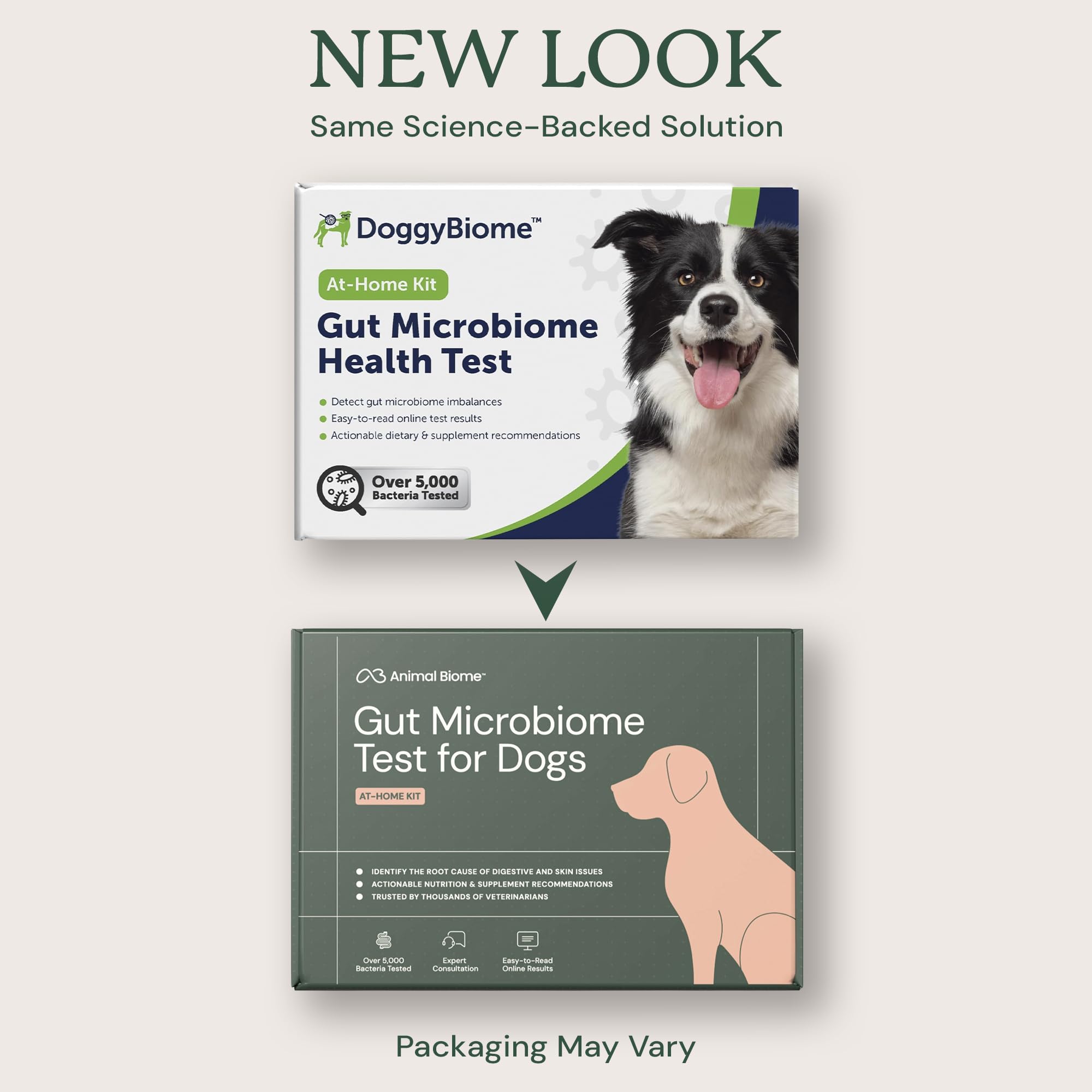 AnimalBiome DoggyBiome - Kit di test per probiotici per cani
