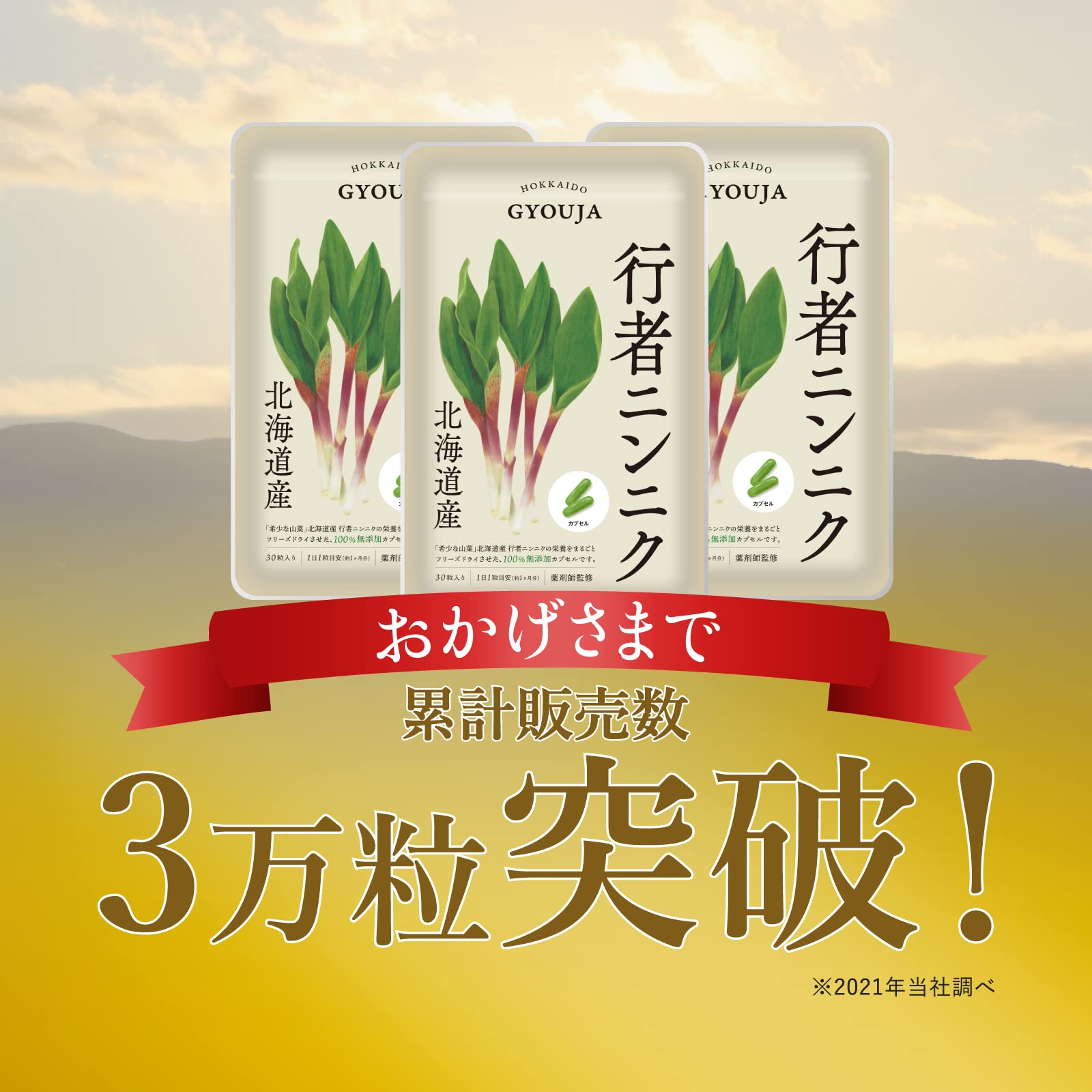 行者にんにく 天然 お取り寄せ 奥尻旅行記～その2～ 大盛上等2 