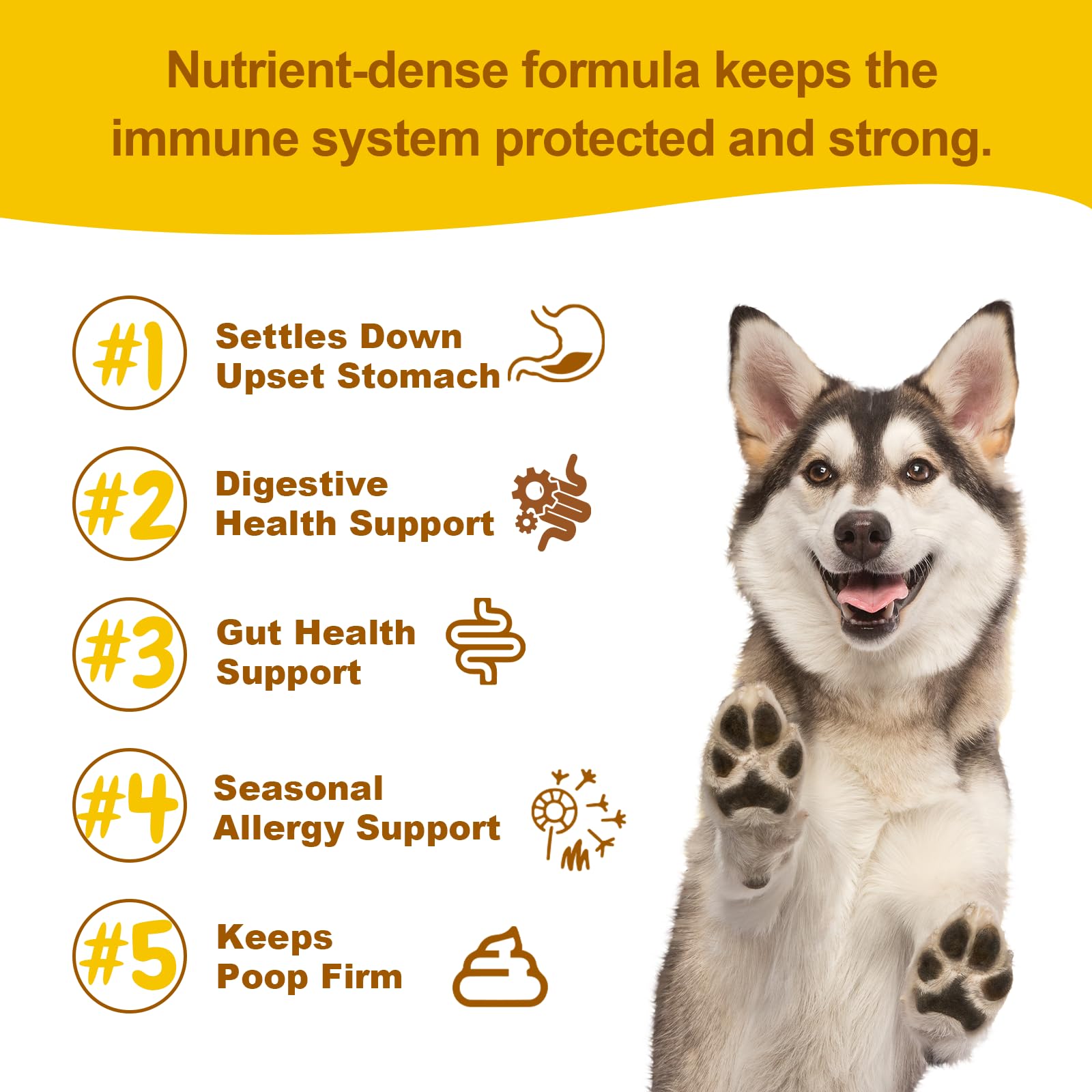 Vet Strength Probiotics for Dogs – Fast Relief for Diarrhea, Gas & Upset Stomach – Maximum Gut, Immune & Allergy Support – Pumpkin Flavor Soft Chews, 90 Count - image 5