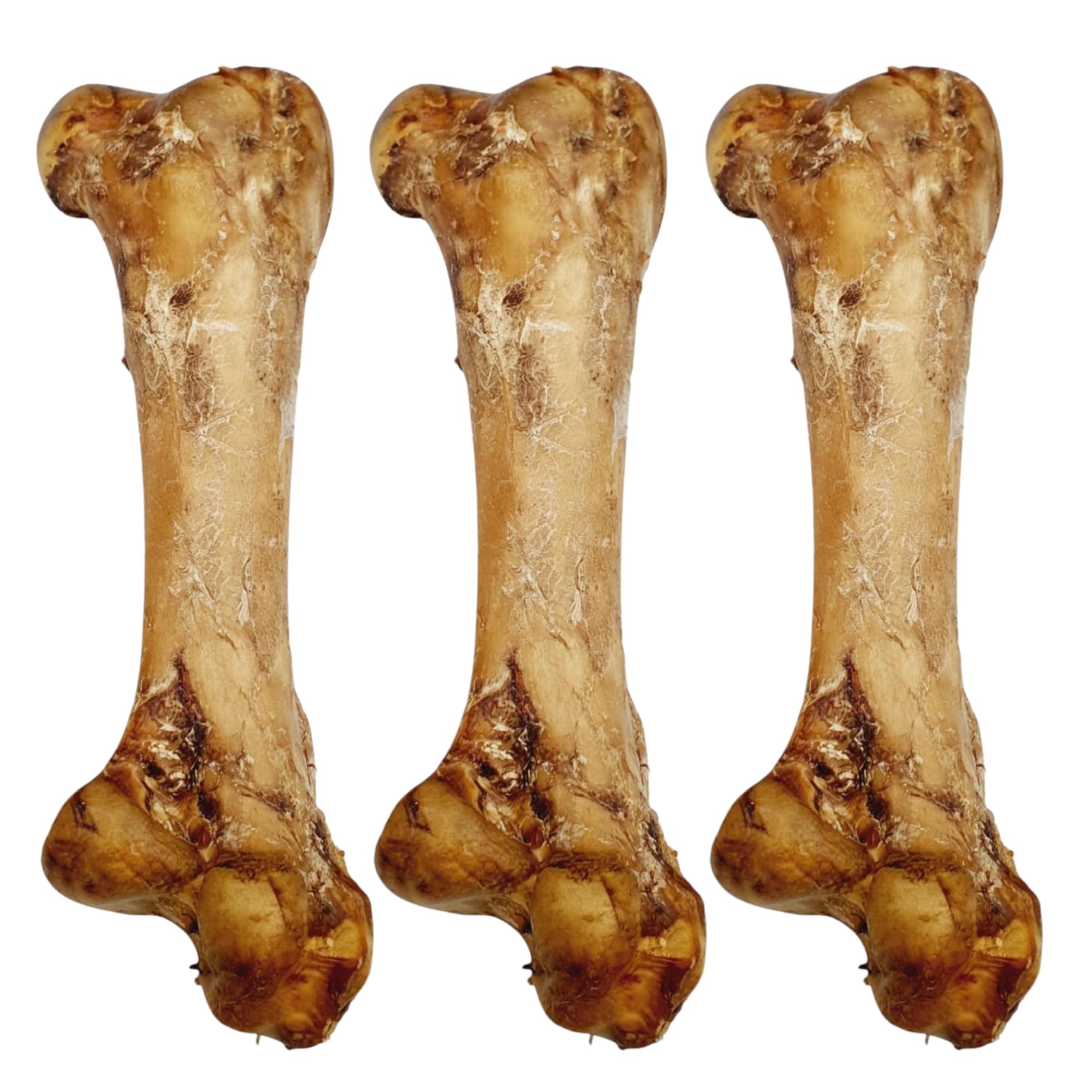 Ostrich Dino Bone For Dogs - Natural Dog Bones