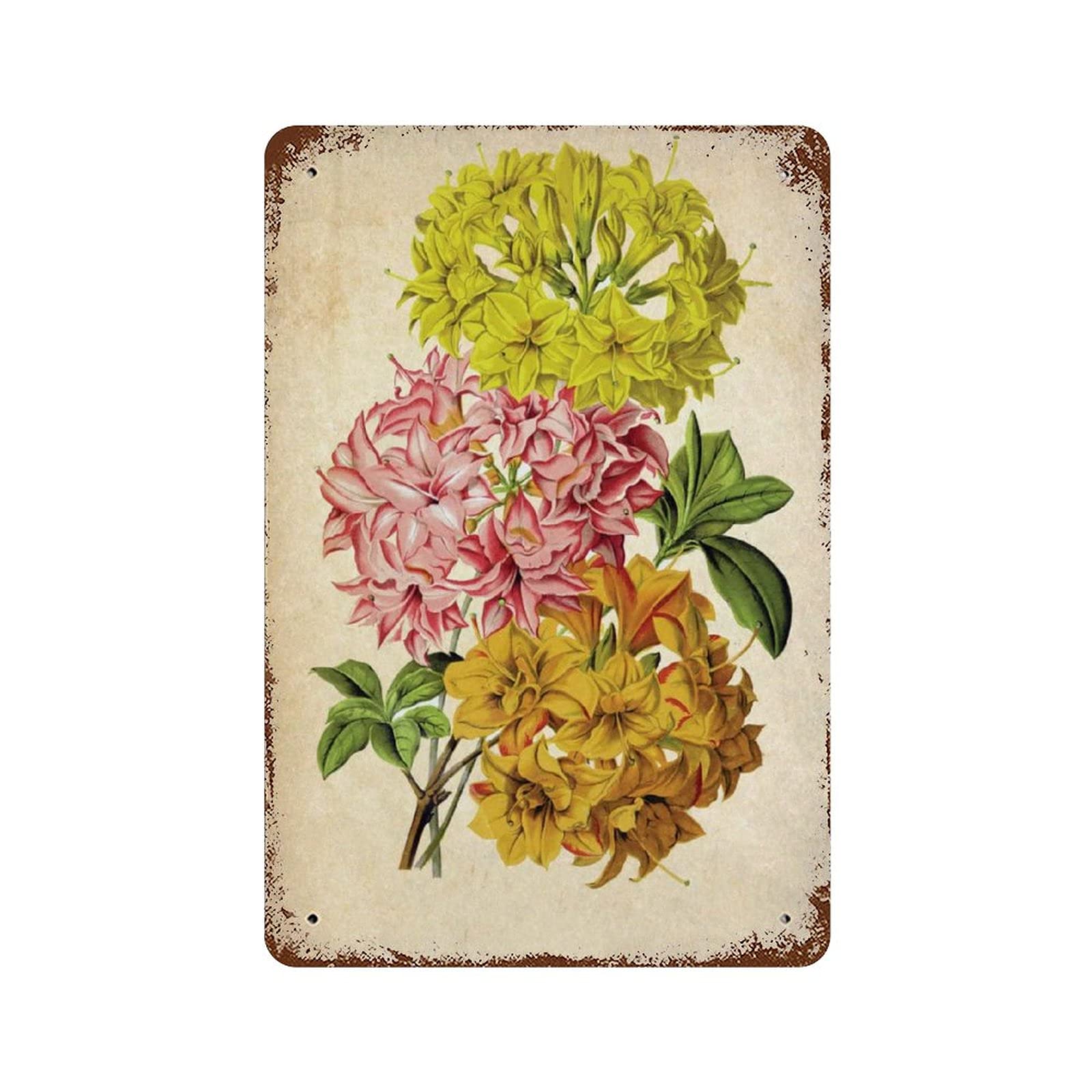 peiyeety Floral Decor Hyacinths Vintage Decor Flowers Sign Plants Sign Garden Wall Decor Wall Decor Nature Pictures 8x5.5 Inch