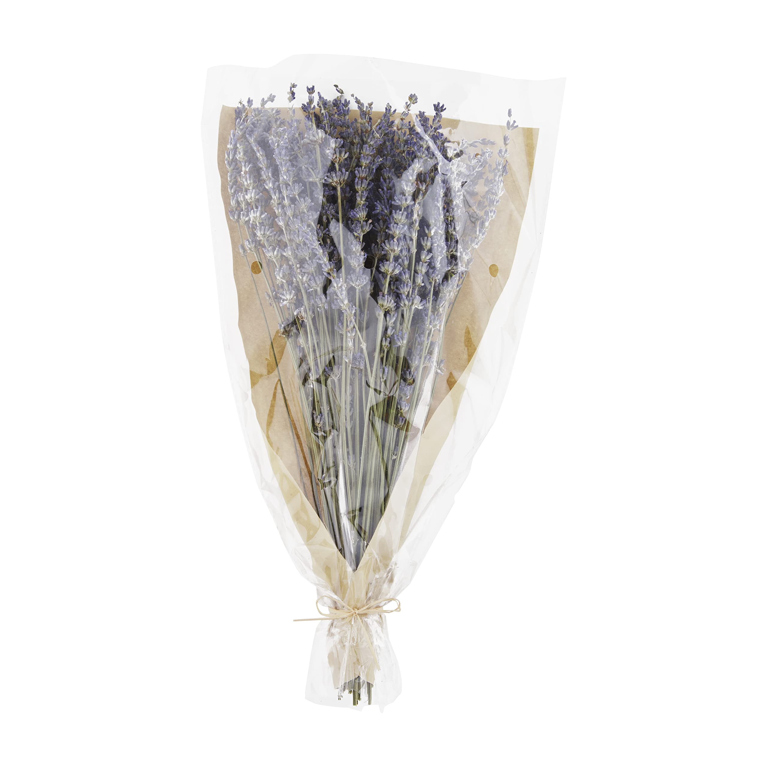 Bouquet de lavande préservée naturelle en tiges Mud Pie pour décoration intérieure