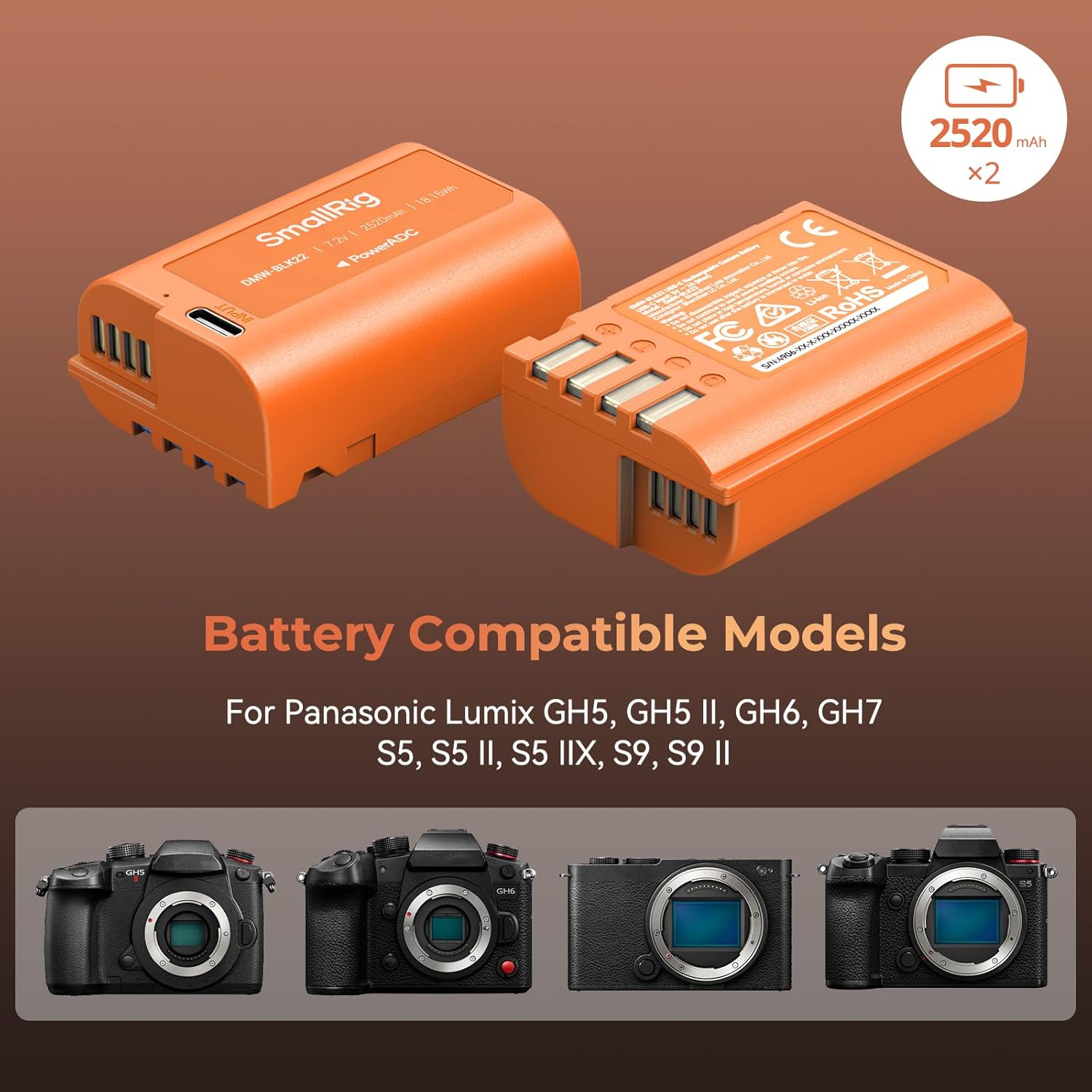 SMALLRIG USB-C DMW-BLK22 Battery and Camera Cage for LUMIX G9 II, S5 II, S5 IIX