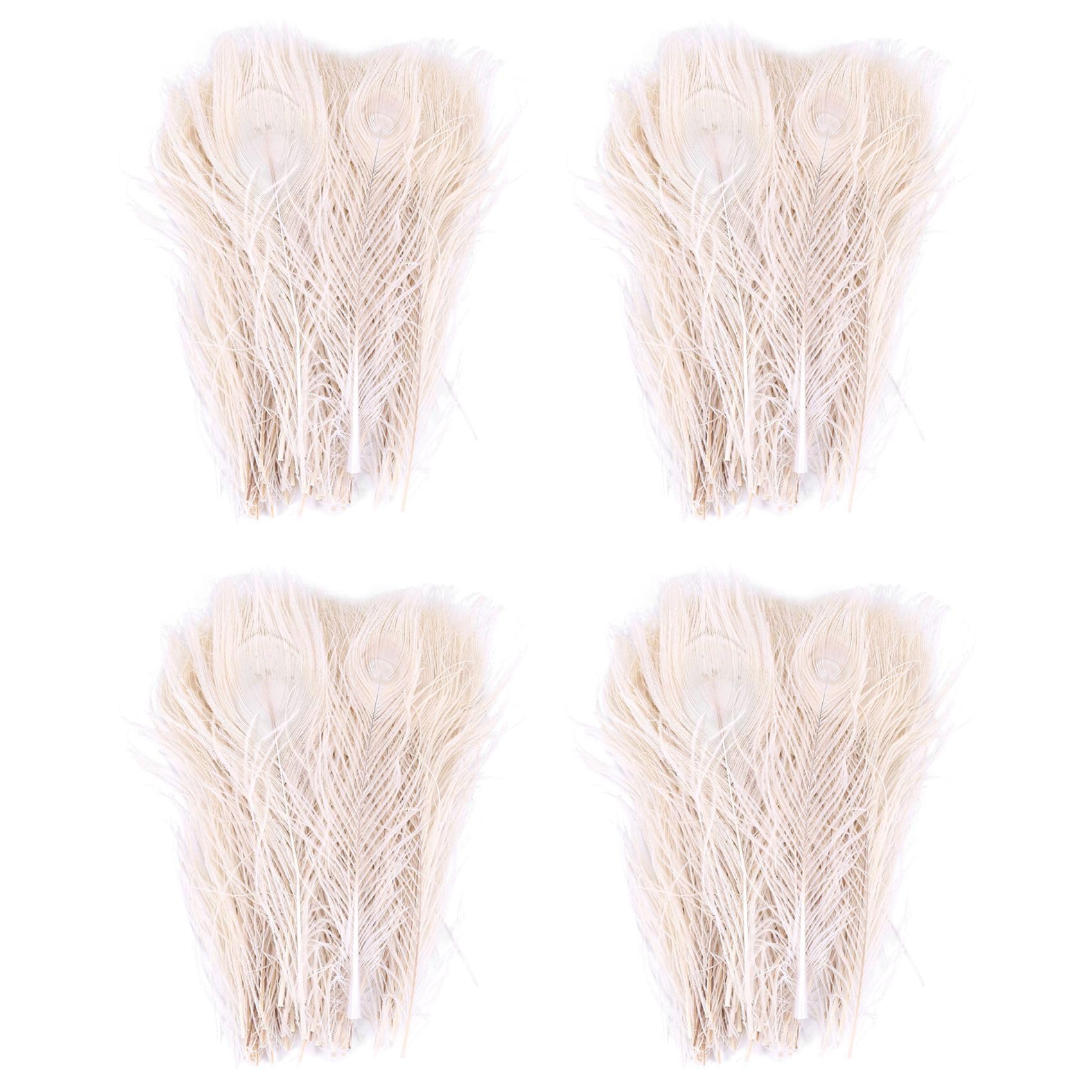 Plume de Paon Blanc dans L'œil : Matière Naturelle Premium pour Centre de Table Mariage
