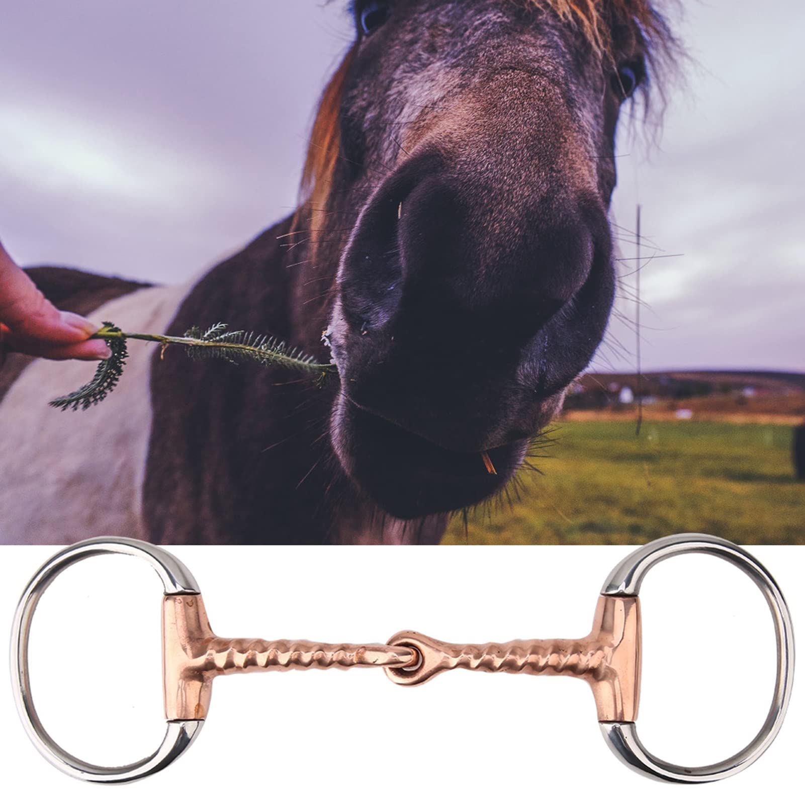 Filetto, Cavallo da Masticare Cavallo Equino Equitazione Inglese Filetto a Doppio Snodo in Ottone Morso per Cavallo per Forniture Equestri