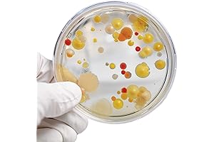 Liquid Worms Science Kit: Steve Spangler's Growing Bacteria Experiment Kit