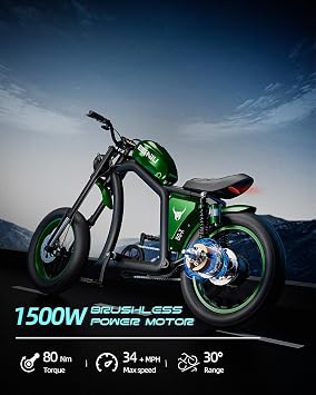 BIGNIU BG-X Electric Bike for Adults,1500W Brushless Motor 48V/31.5Ah Up to 40 Miles E-Bike Front/Rear Turn Signal Dual Suspension Ebikes