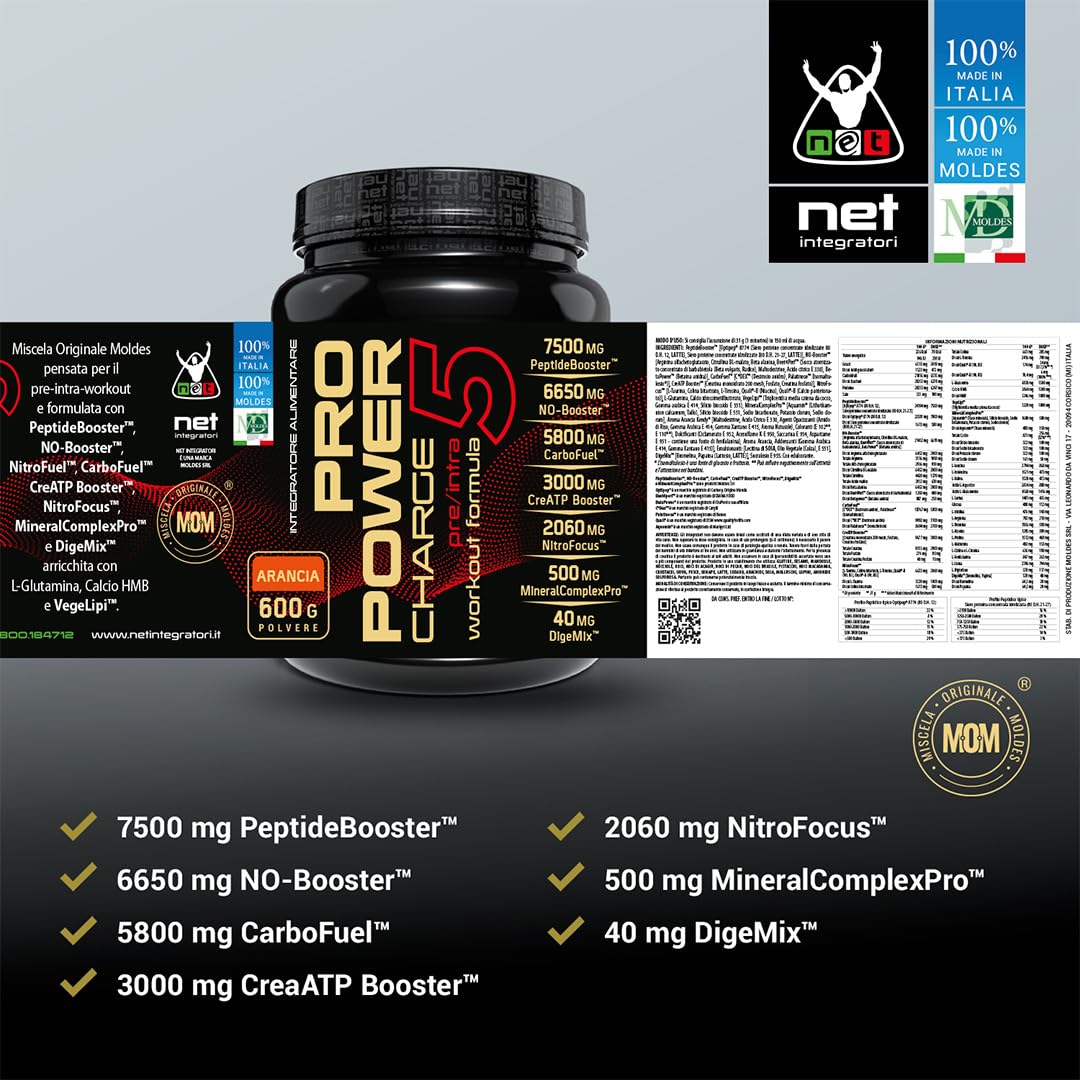 Net Integratori PRO POWER CHARGE 5 – Gusto Arancia 600g – Integratore Pre e Intra Workout con Aminoacidi Creatina e Carboidrati a rilascio differenziato e Vitamine B3 e B5 (Quali®-B)