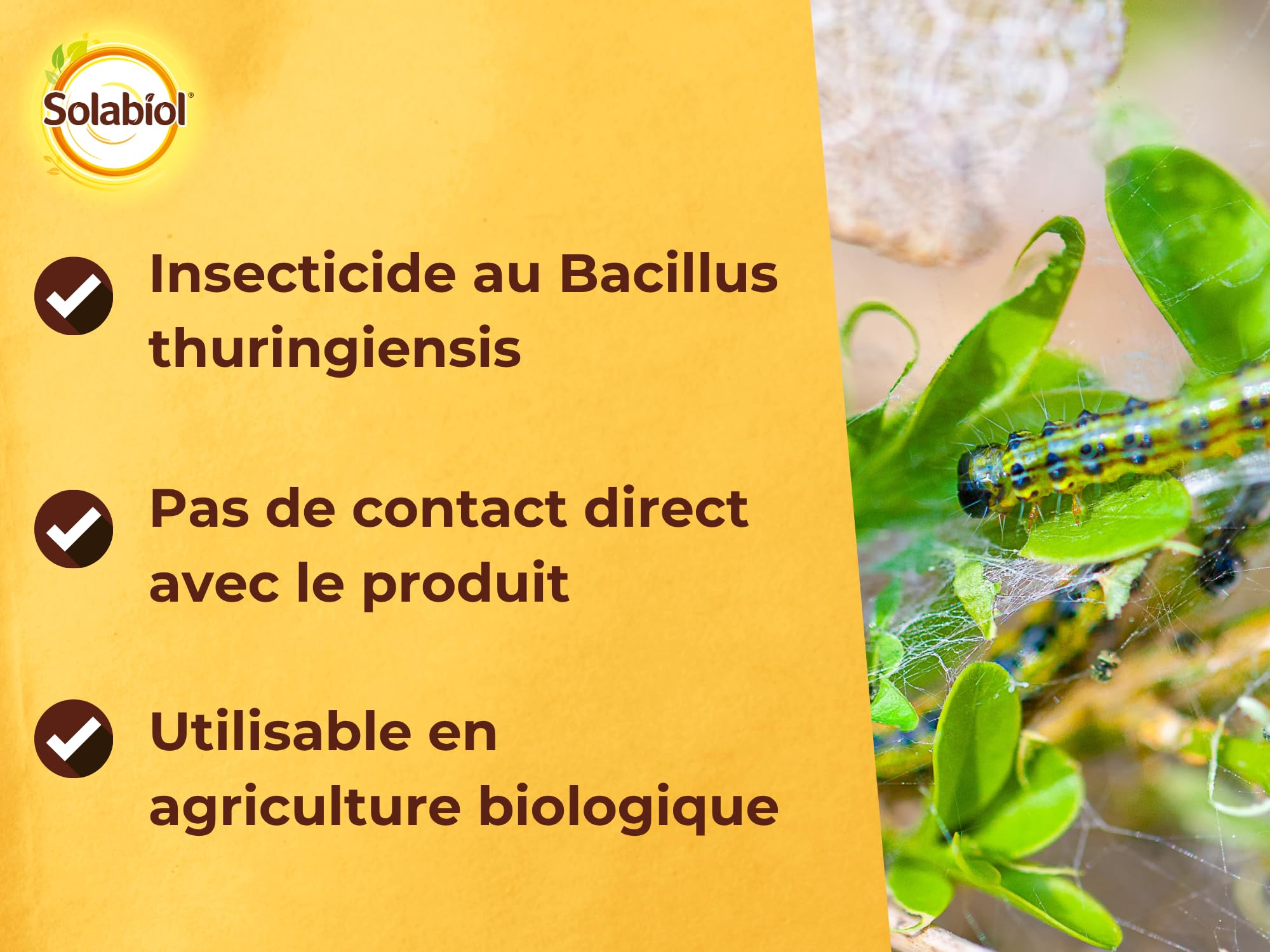 SOLABIOL 2 Traitements Pyrale du Buis Au Bacillus Thuringiensis (BTK) - Action Choc sur Larves et Chenilles - 12 Sachets Hydrosolubles - 30g - Utilisable en Agriculture Biologique SOPYRAL15X2