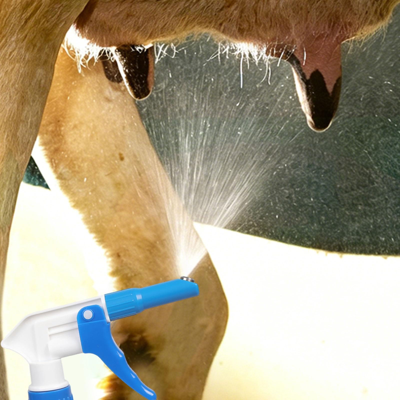 Bouteille pulvérisateur de tétine de vache laitière pour bétail désinfectant et équipement de traite, outil de pulvérisation, outil de nettoyage par immersion pour bétail