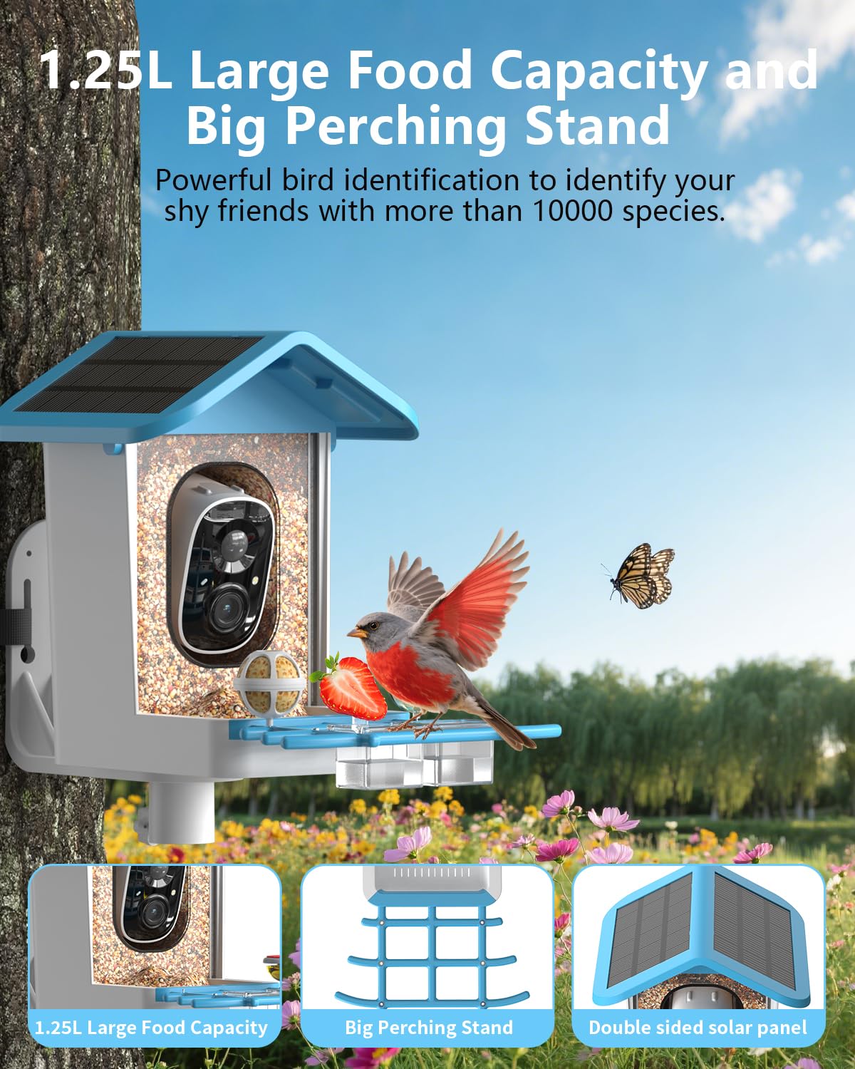Vogelfutterstation mit Kamera Solarbetrieben, Smart Vogelhaus mit Cam mit KI Identifizieren von Arten, 2K HD Live View, Sofortige Ankunftswarnungen, Ideales Geschenk für Familie und Vogelliebhaber