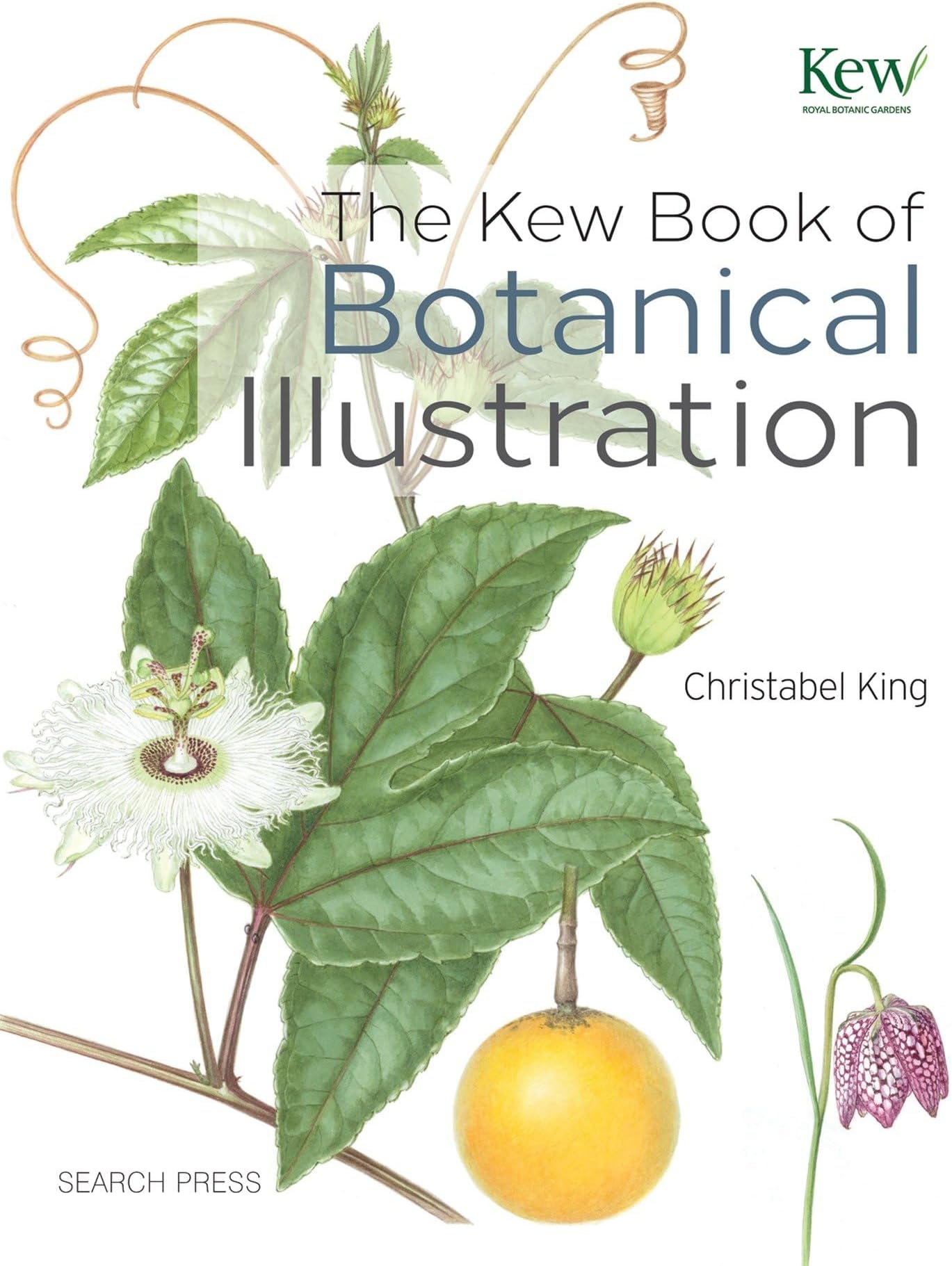 The Kew Book of Botanical Illustration