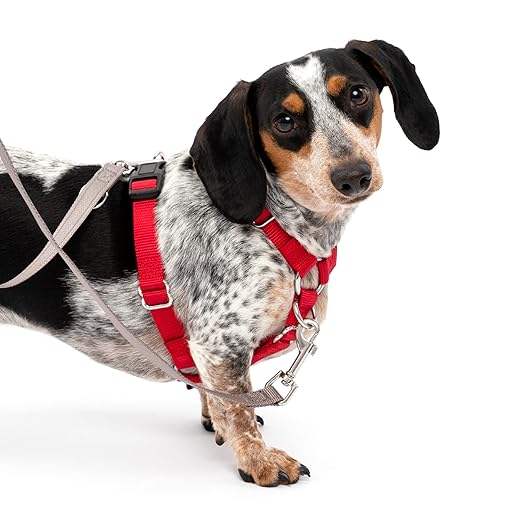 PetSafe Sure-Fit Dog Harness - Training & Behavior Aid - Tactical Design Prevents Pressure on Throat - 2 Quick-Snap Buckles Simplify Slipping On & Off - 5 Adjustment Points - Small, Red