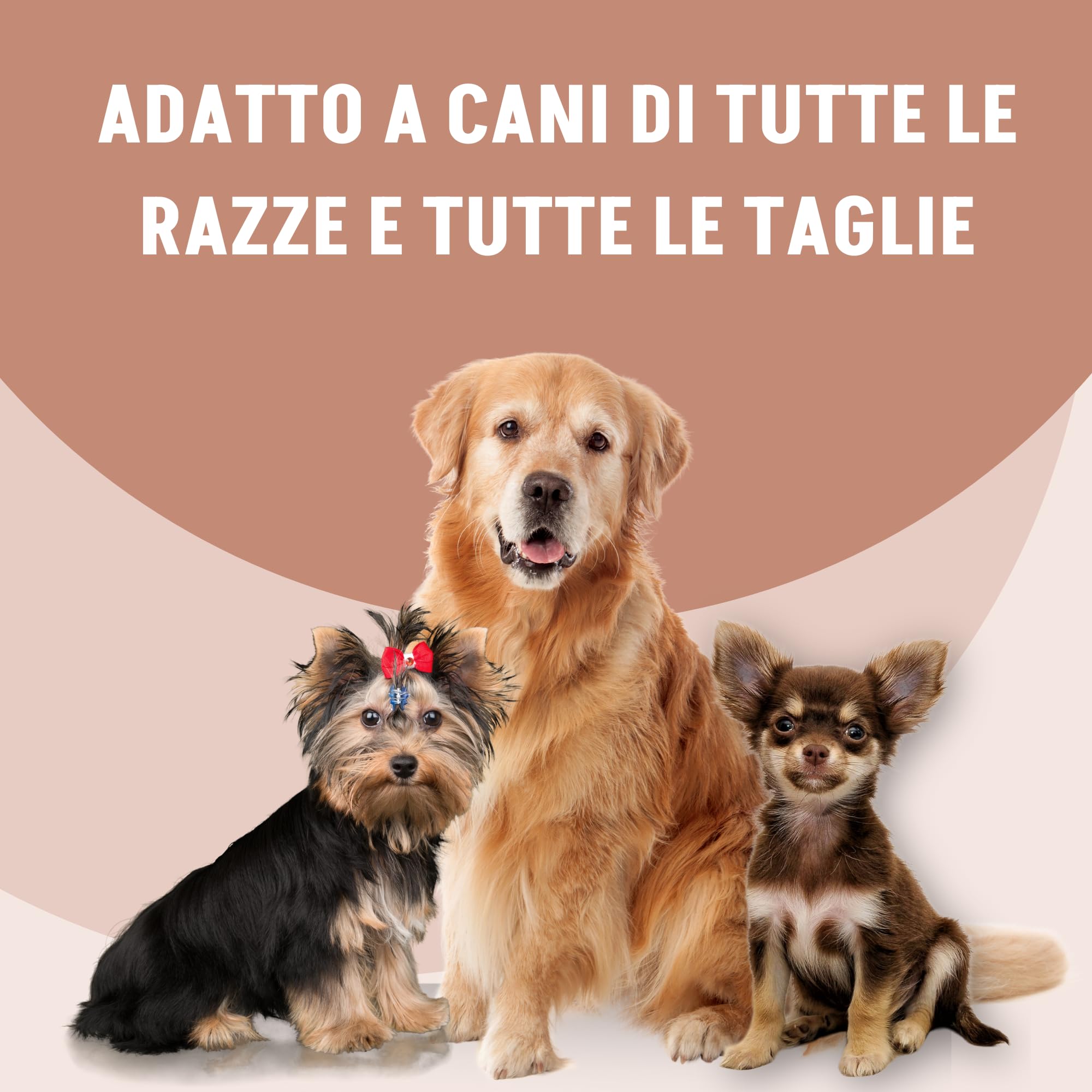 Motix Integratore Articolazioni Cane - Glucosamina, Condroitina e MSM - 100 Compresse 1000 mg - Adatto a Cani di Tutte le Taglie e Razze - Supporto per la Mobilità