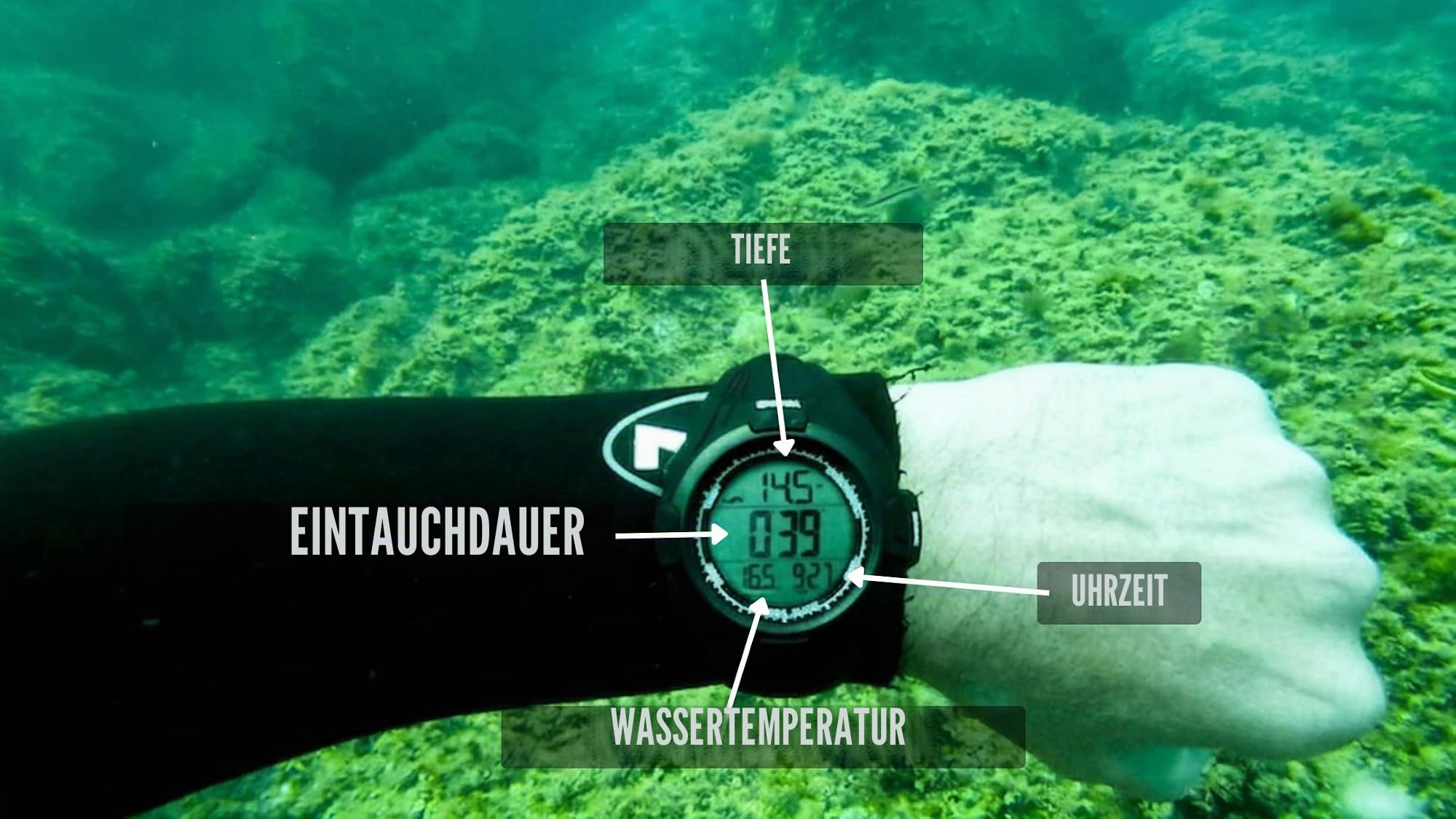 DiVONEA Tauchcomputeruhr, Freitauchen und Speerfischen