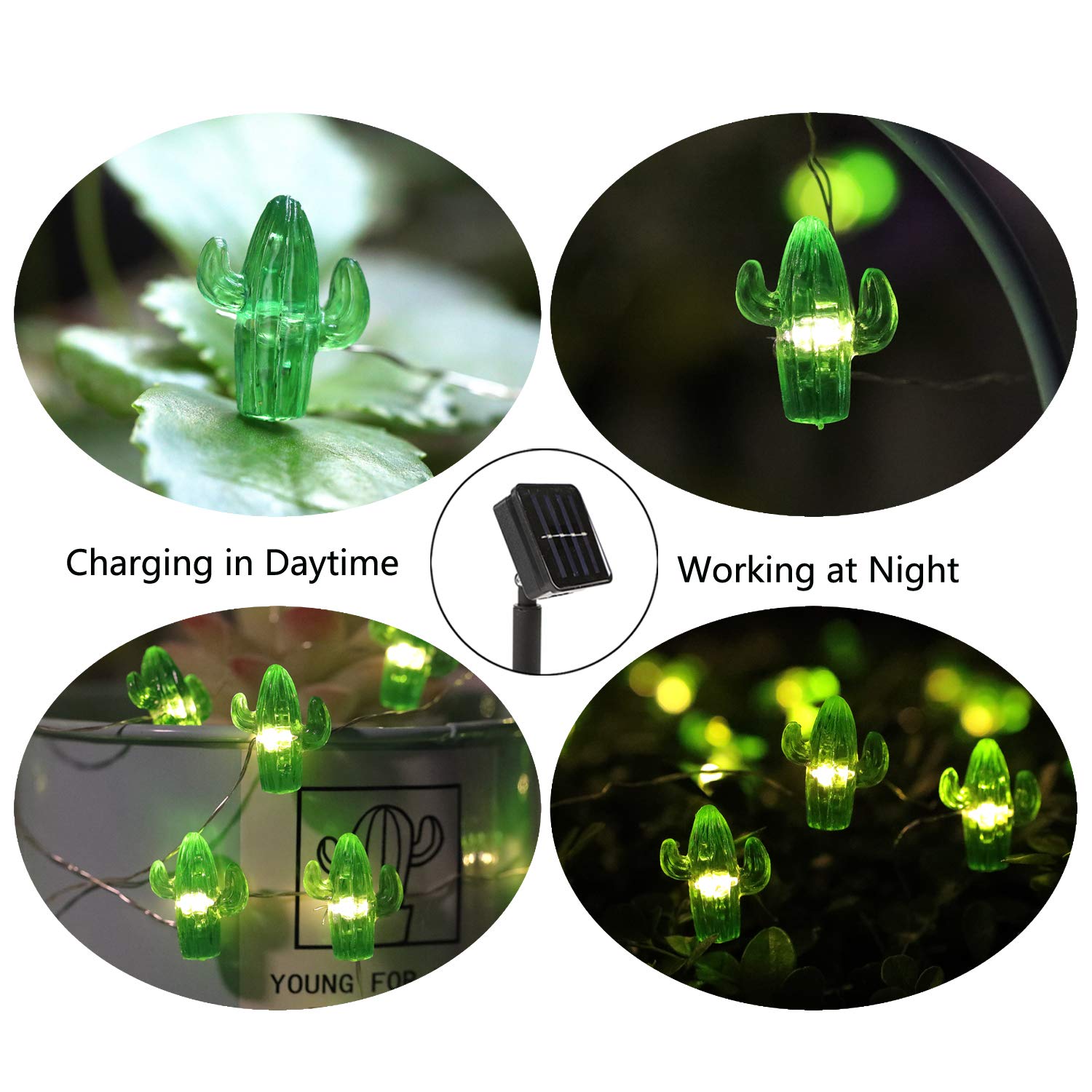 HDNICE Solar-Lichterkette fr den Auenbereich, Kaktus-Lichterkette mit 30  LEDs, 3 Modi, Kupferdraht, wasserdicht, fr Garten, Terrasse, Tor, Hof,  Party, Hochzeit, Schlafzimmer (warmwei) : Amazon.de: Beleuchtung