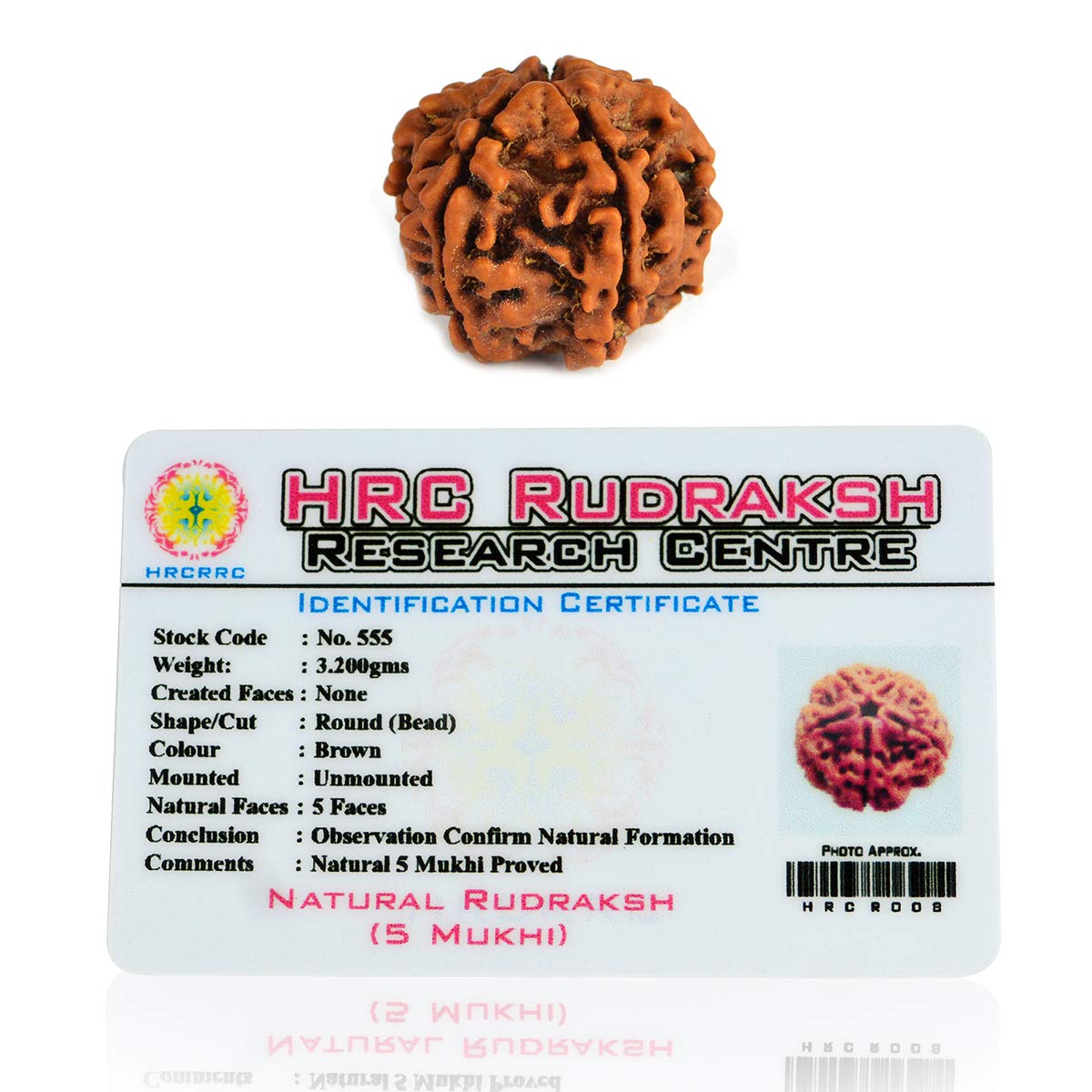 See full amazon price history chart for Reiki Crystal Products Original Certified 5 Mukhi Rudraksha/Five Faced Rudraksha Bead Reiki Crystal Products Original Certified 5 Mukhi Rudraksha/Five Faced Rudraksha Bead (B08C9KNQP5) Amazon Price History, Amazon Price Tracker