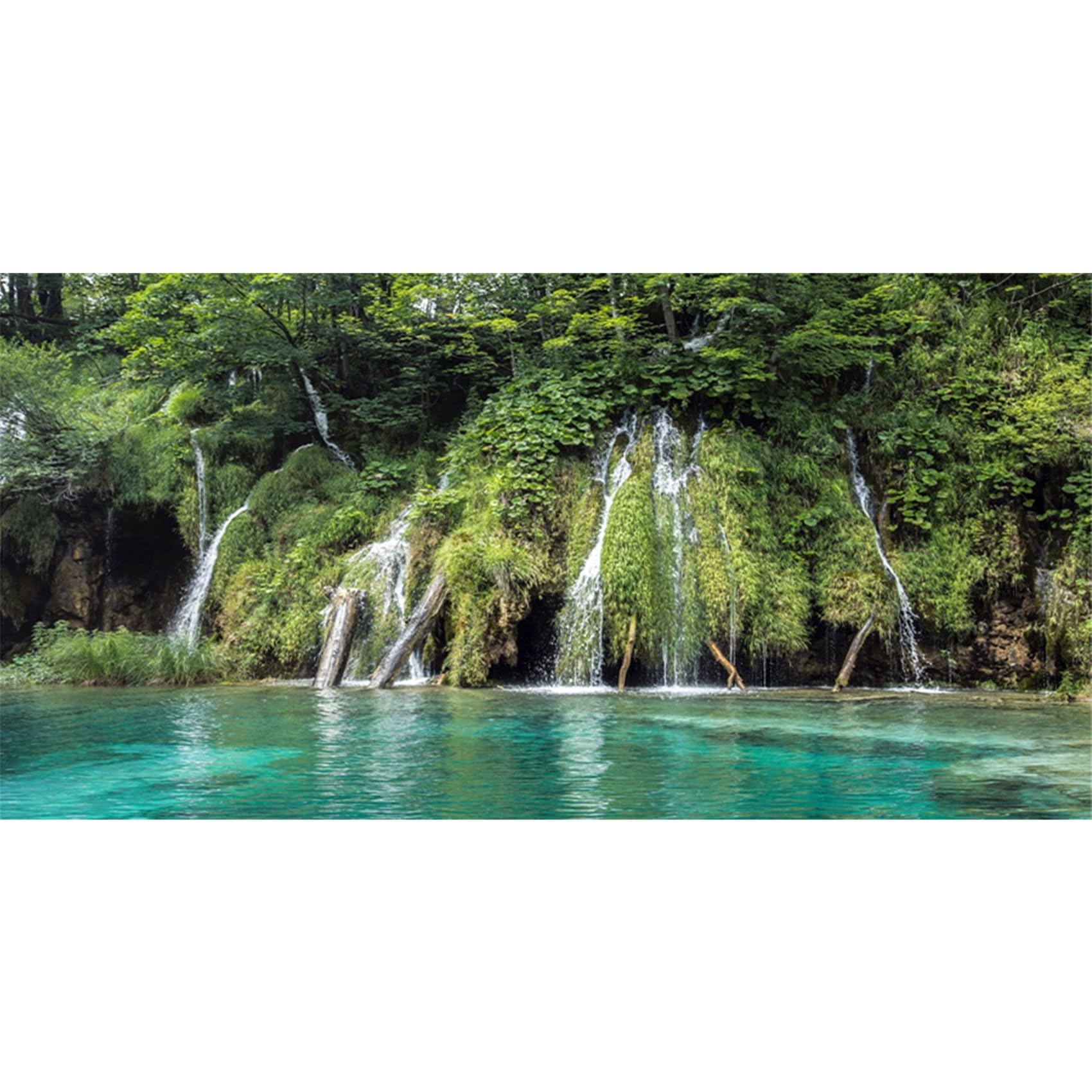 MIRRORANG 120x61cm Waterfall Terrarium Background Tropical Rainforest Aquarium Background Blue Lake Green Tree Reptile Habitat Background Vinyl