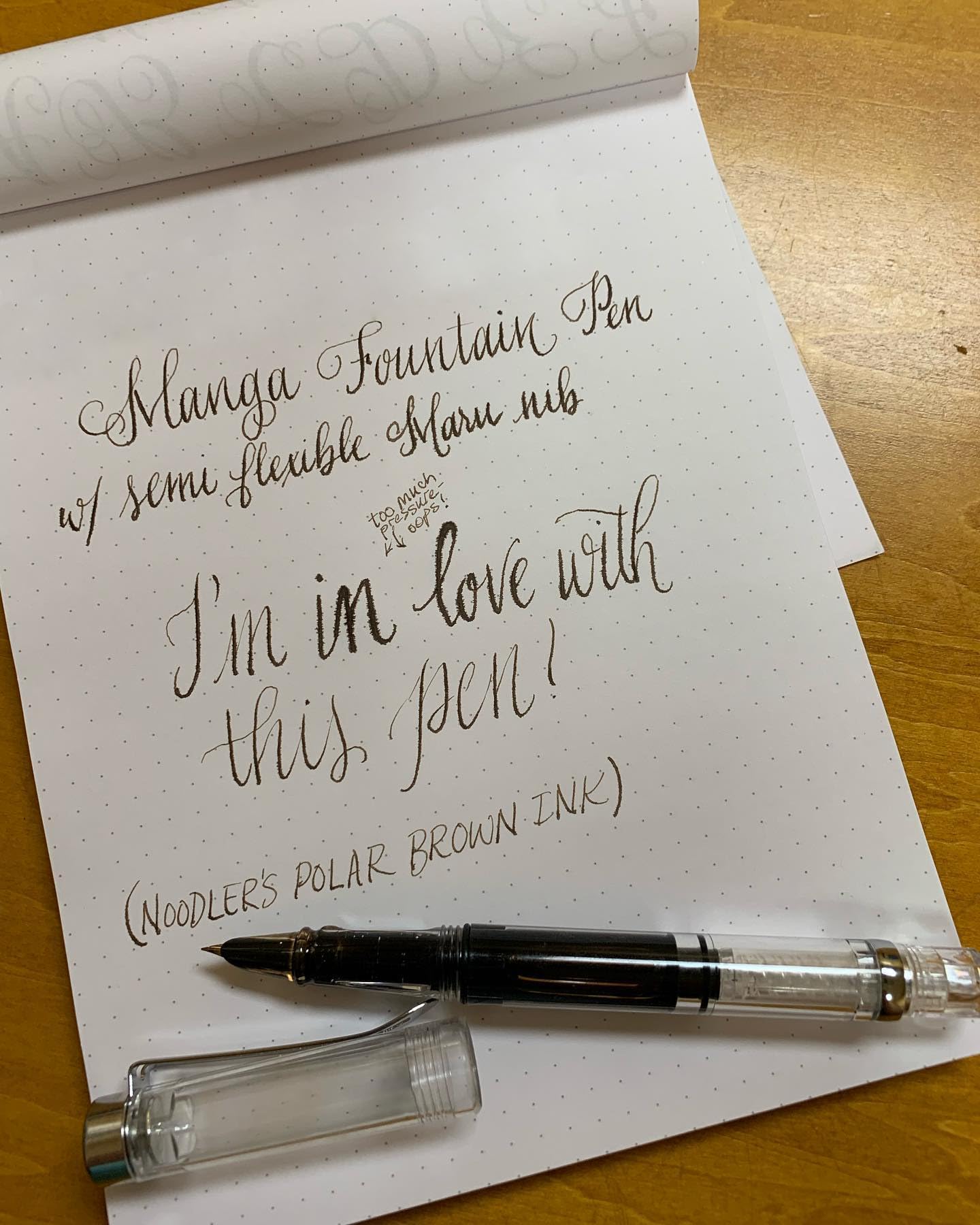 Penna Stilografica Con Pennino Semi Flessibile A Molla Set Di Penne A Inchiostro Con Cartucce E Convertitore (rame