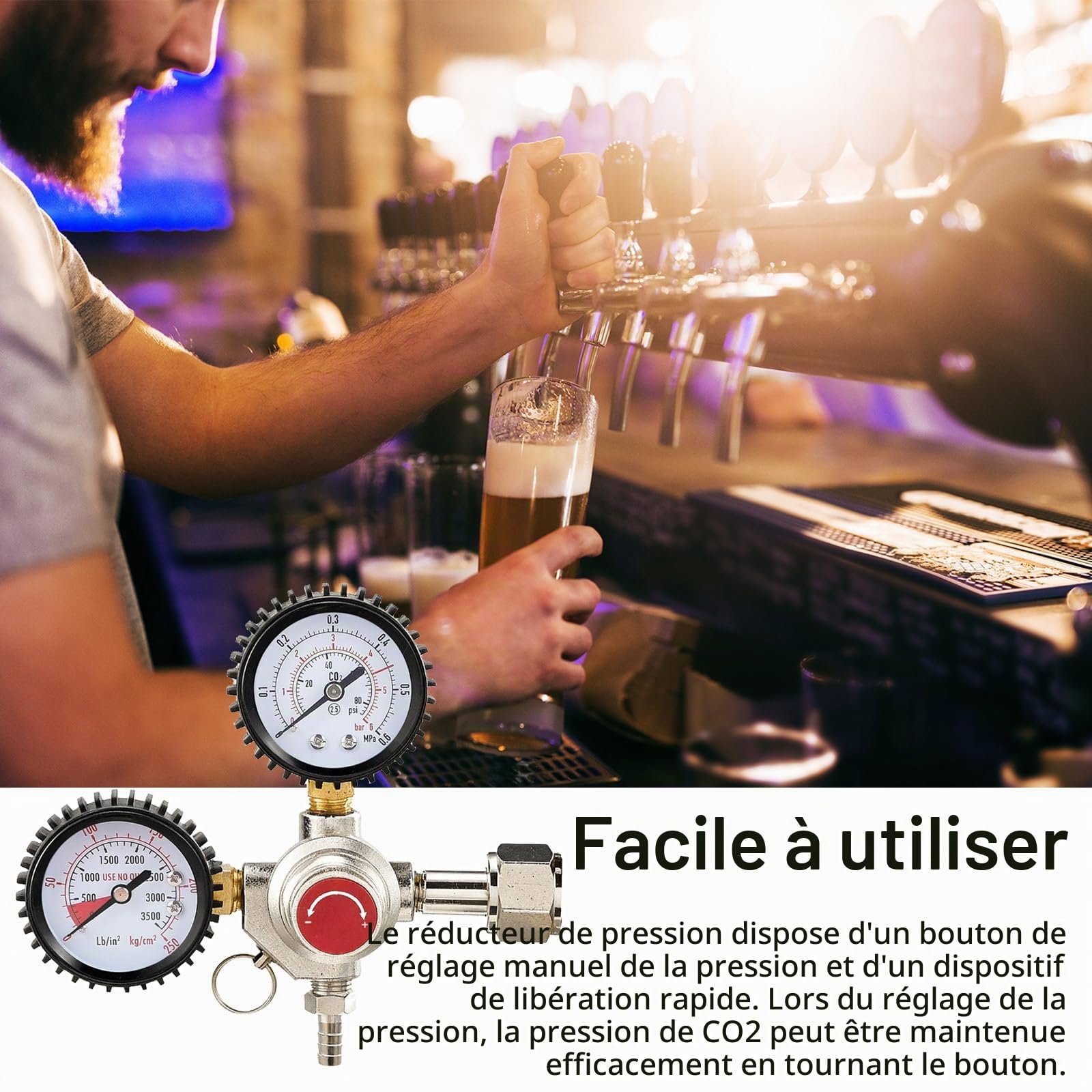 CO2 Réducteur de Pression, Réducteur de Pression du Système de Distribution de Bière avec 2 Manomètres Raccord W21,8 x 1/14" Régulateur de CO2 pour Système de Distribution de Bière