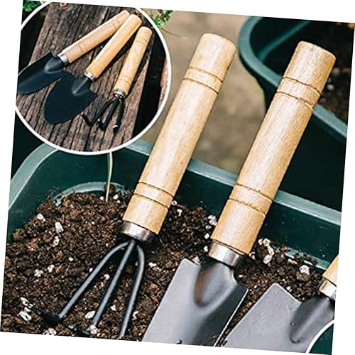 Miniatura 5 de Happyyami Juego de cucharas de herramientas de jardín en miniatura, juego de bonsái, herramienta de plantación de suculentas, herramienta de
