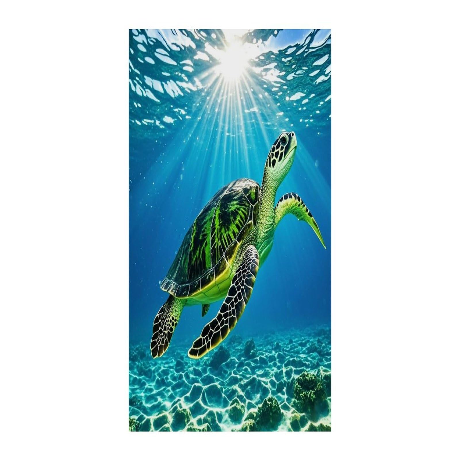 Cortina opaca de tortuga para privacidad y aislamiento en puertas de 70x35.4 pulgadas