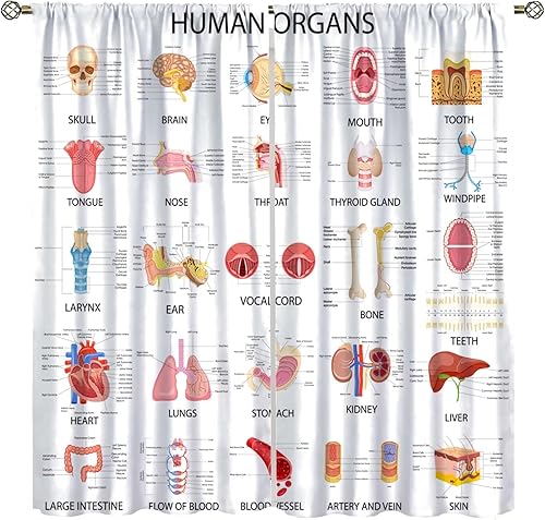 Miniatura 22 de Cortina de fórmula de matemáticas, diseño de lección de álgebra, cuaderno de lecciones, diseño de fórmula, bolsillo para barra, cortina de ventana